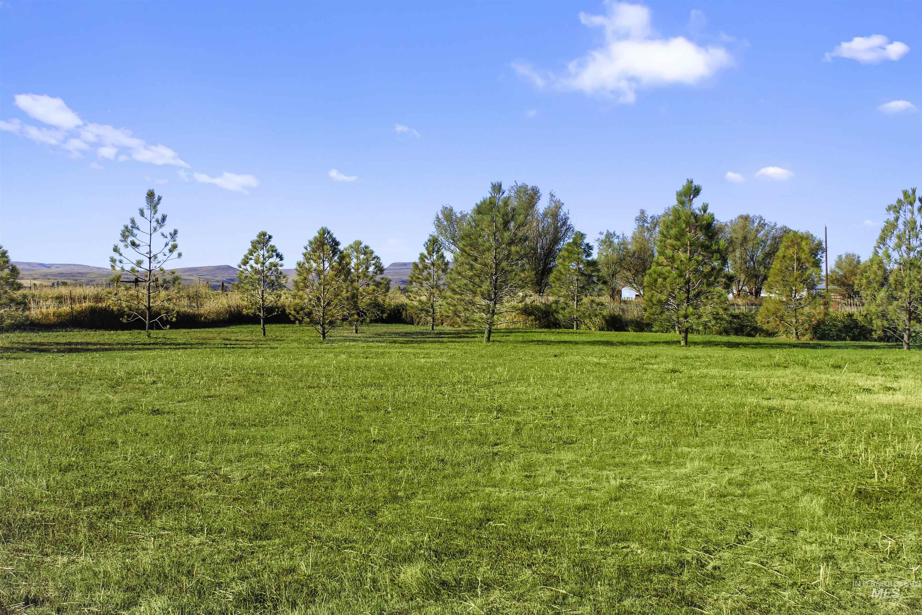 View of grassy yard with a rural view and a mountain view