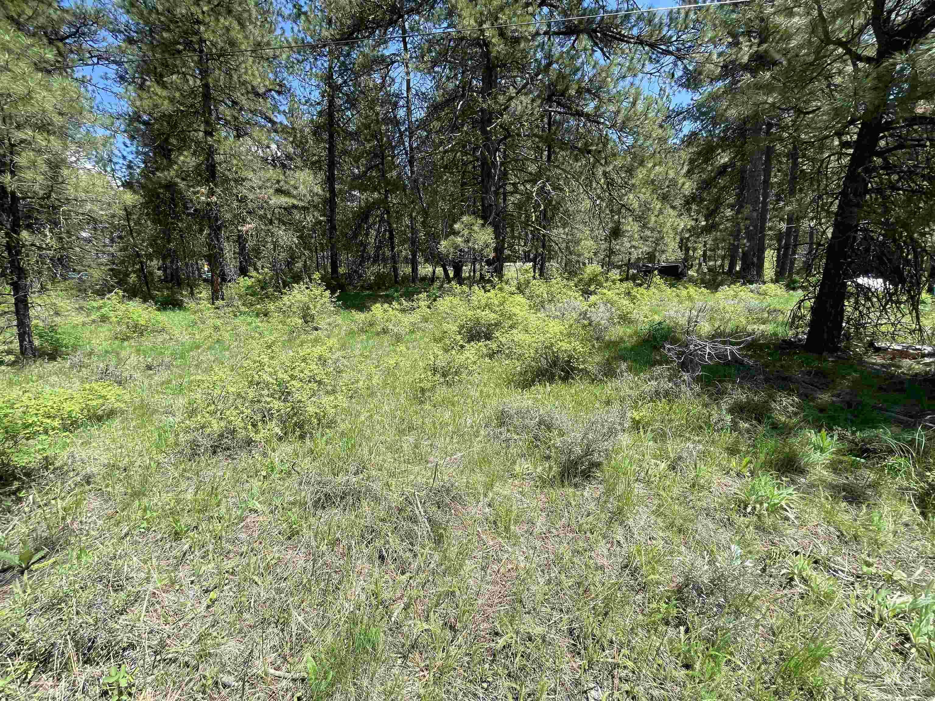 1307 Crown Point Parkway, Cascade, Idaho 83611, Land For Sale, Price $179,000, 98965447