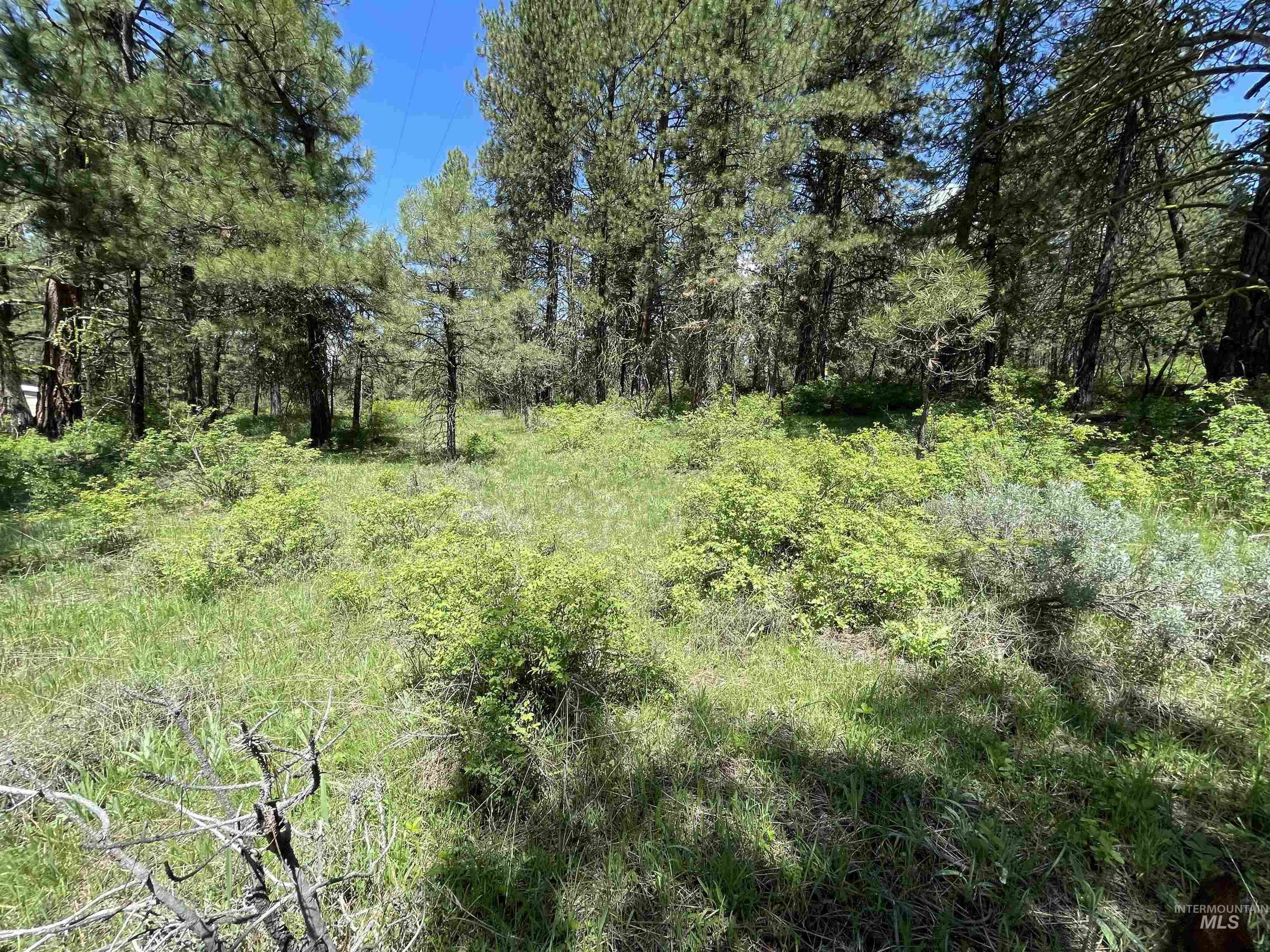 1307 Crown Point Parkway, Cascade, Idaho 83611, Land For Sale, Price $179,000, 98965447