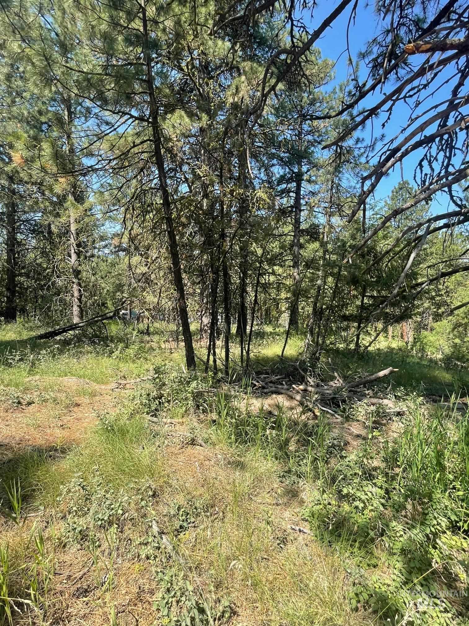 1307 Crown Point Parkway, Cascade, Idaho 83611, Land For Sale, Price $179,000, 98965447