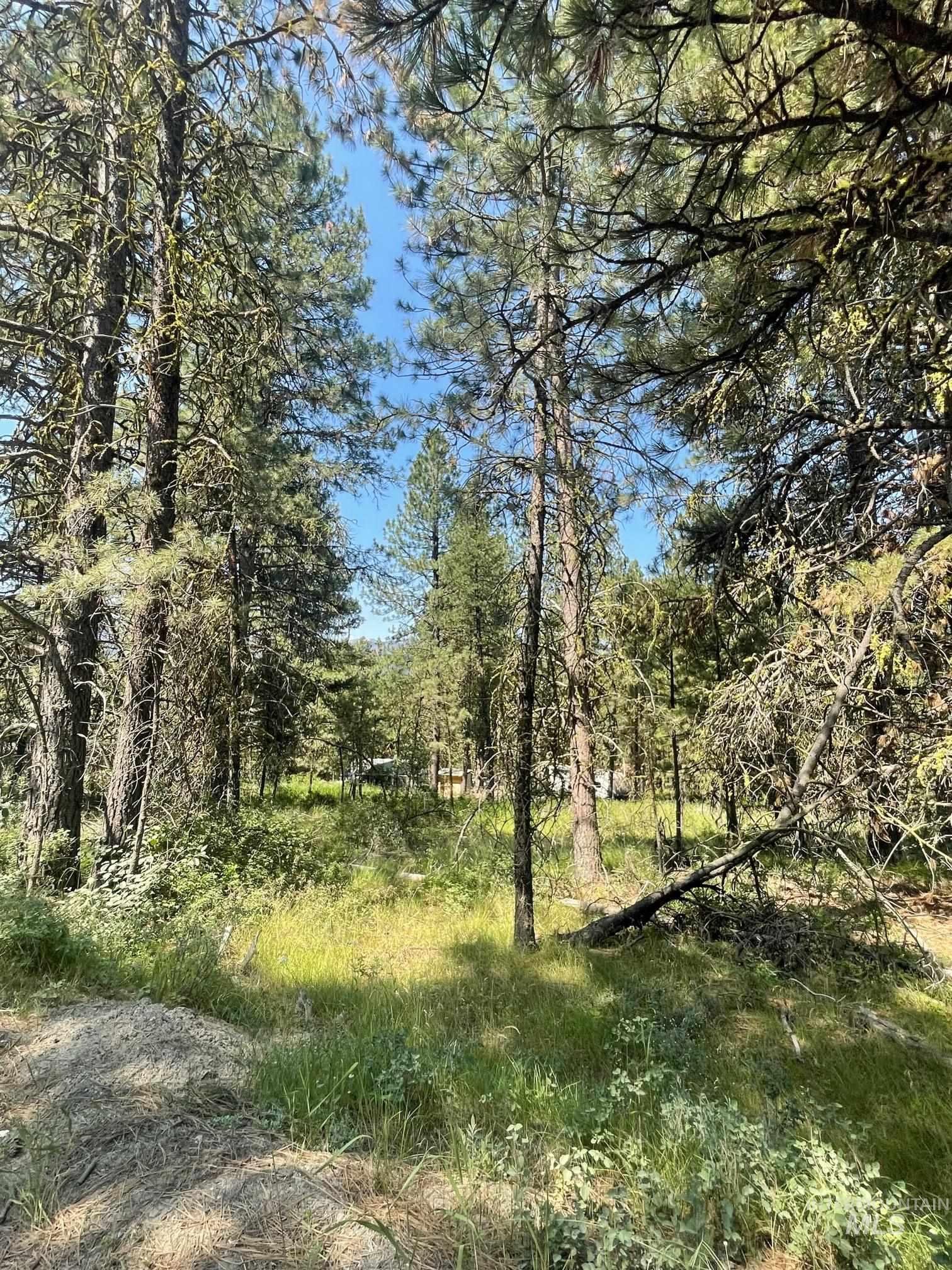 1307 Crown Point Parkway, Cascade, Idaho 83611, Land For Sale, Price $179,000, 98965447