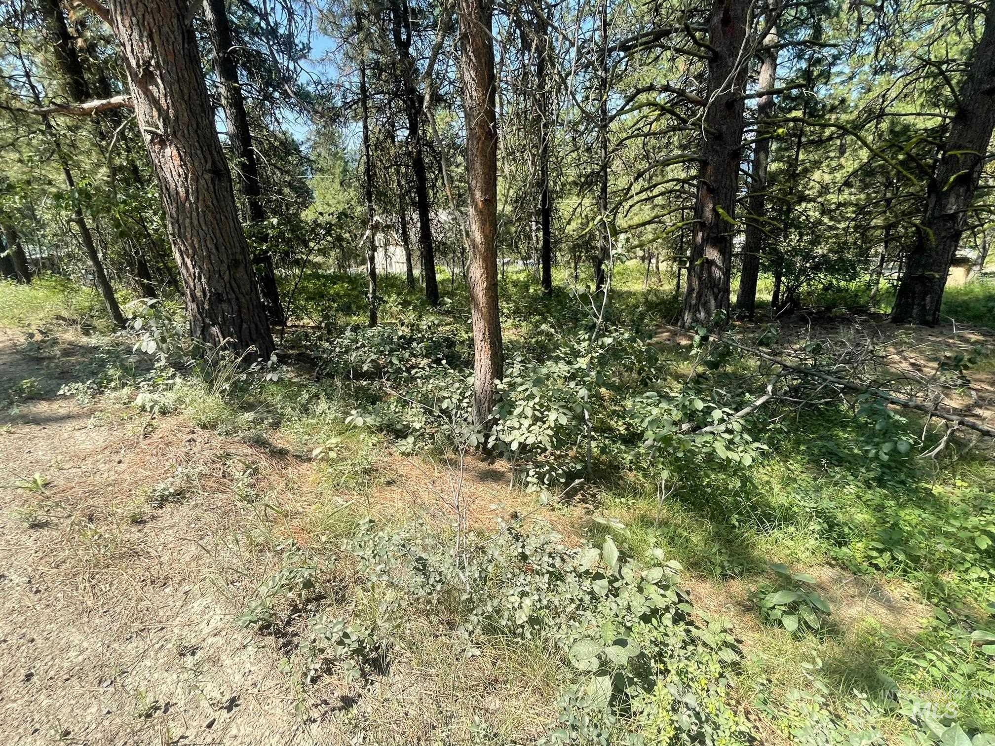 1307 Crown Point Parkway, Cascade, Idaho 83611, Land For Sale, Price $179,000, 98965447