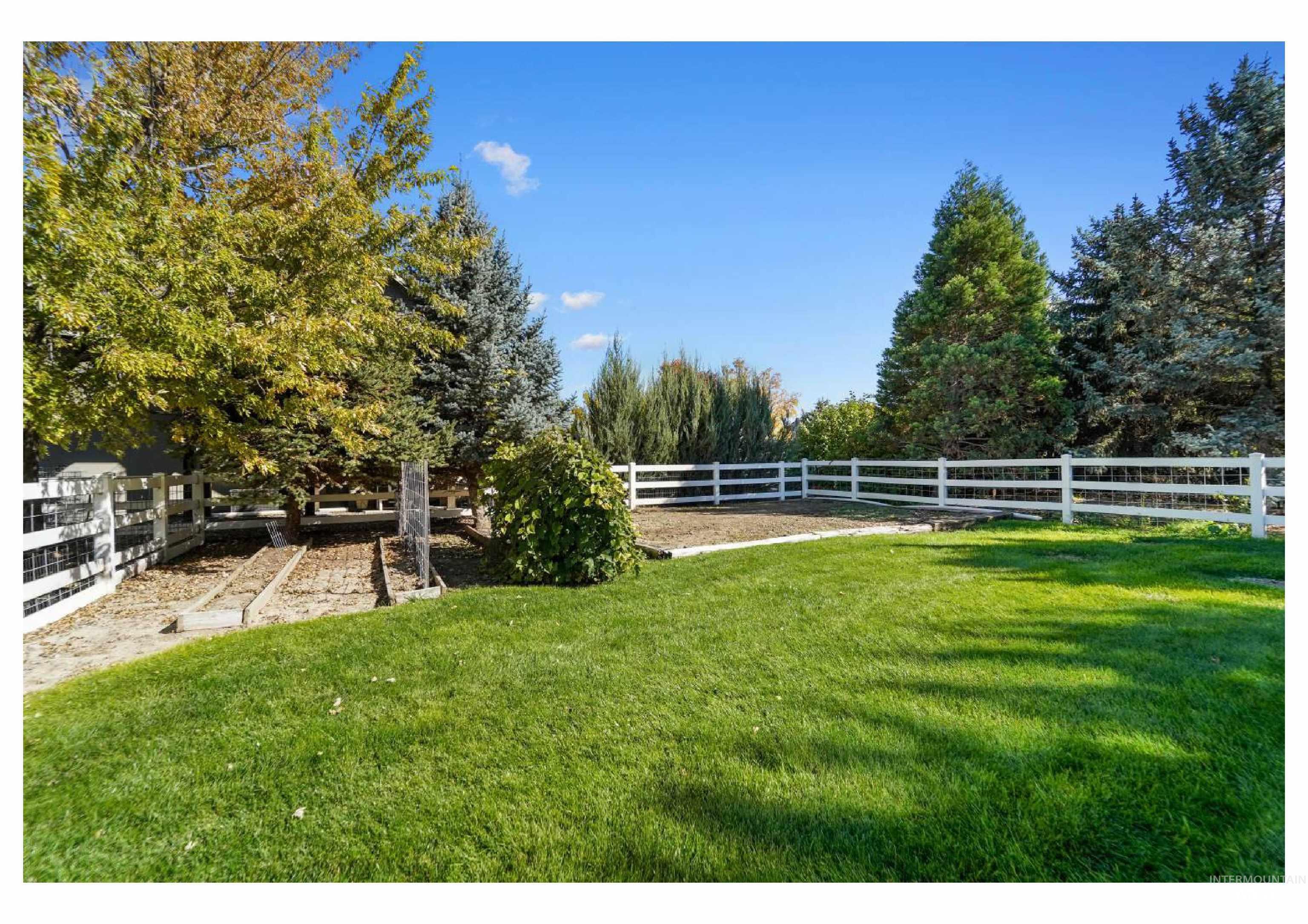 View of fenced backyard