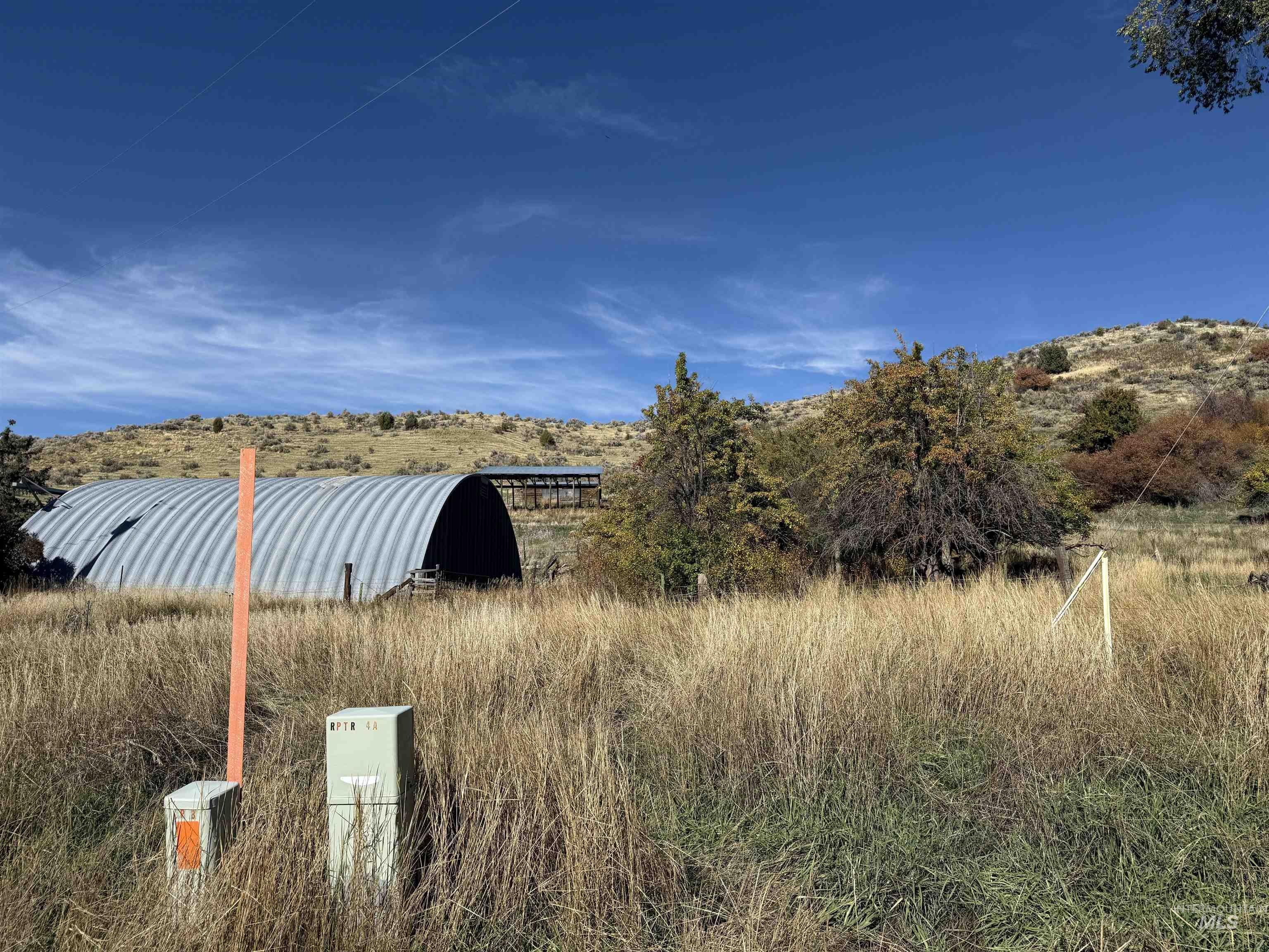 View of yard with an outdoor structure