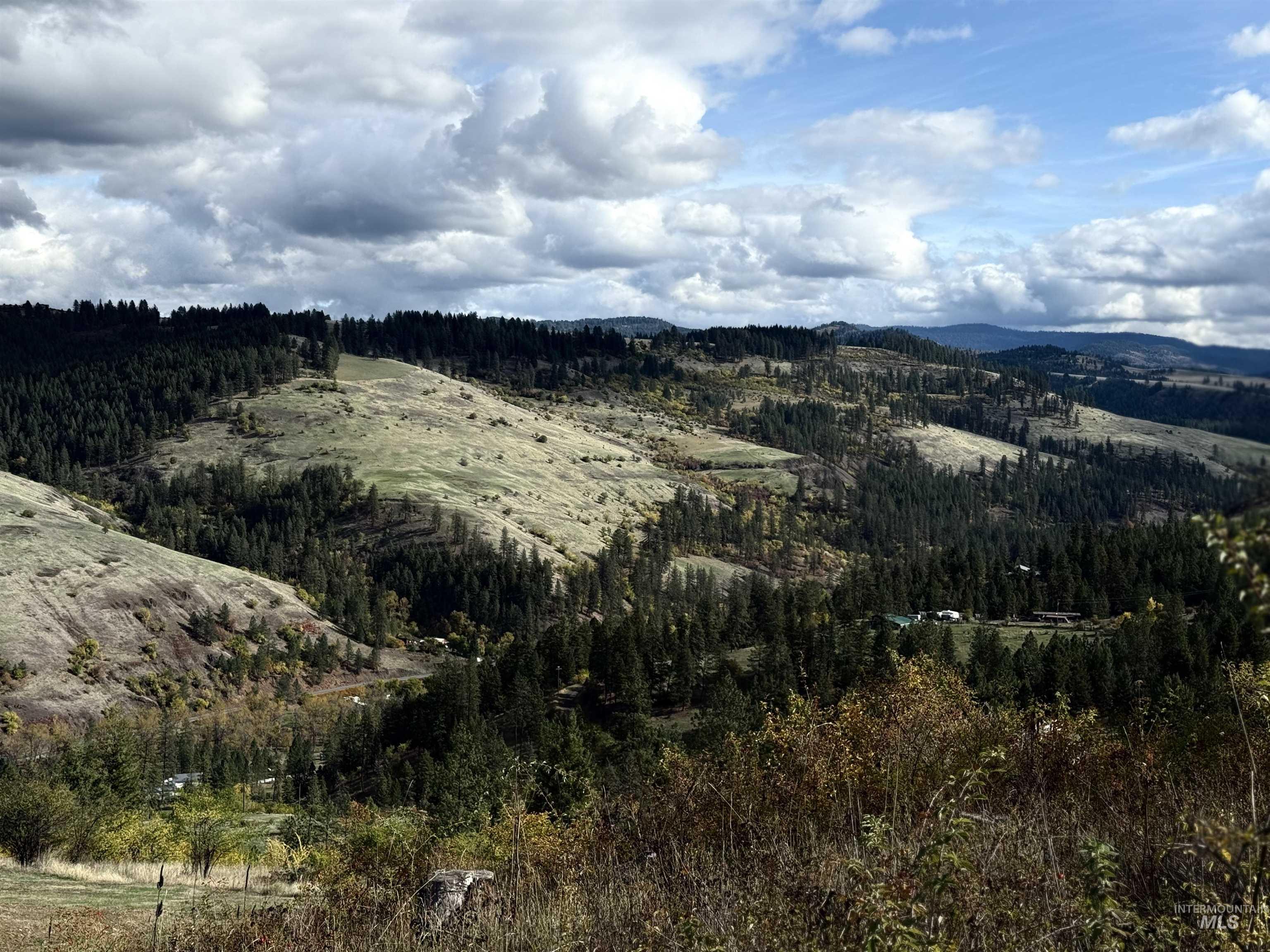 View of fall colors and mountains