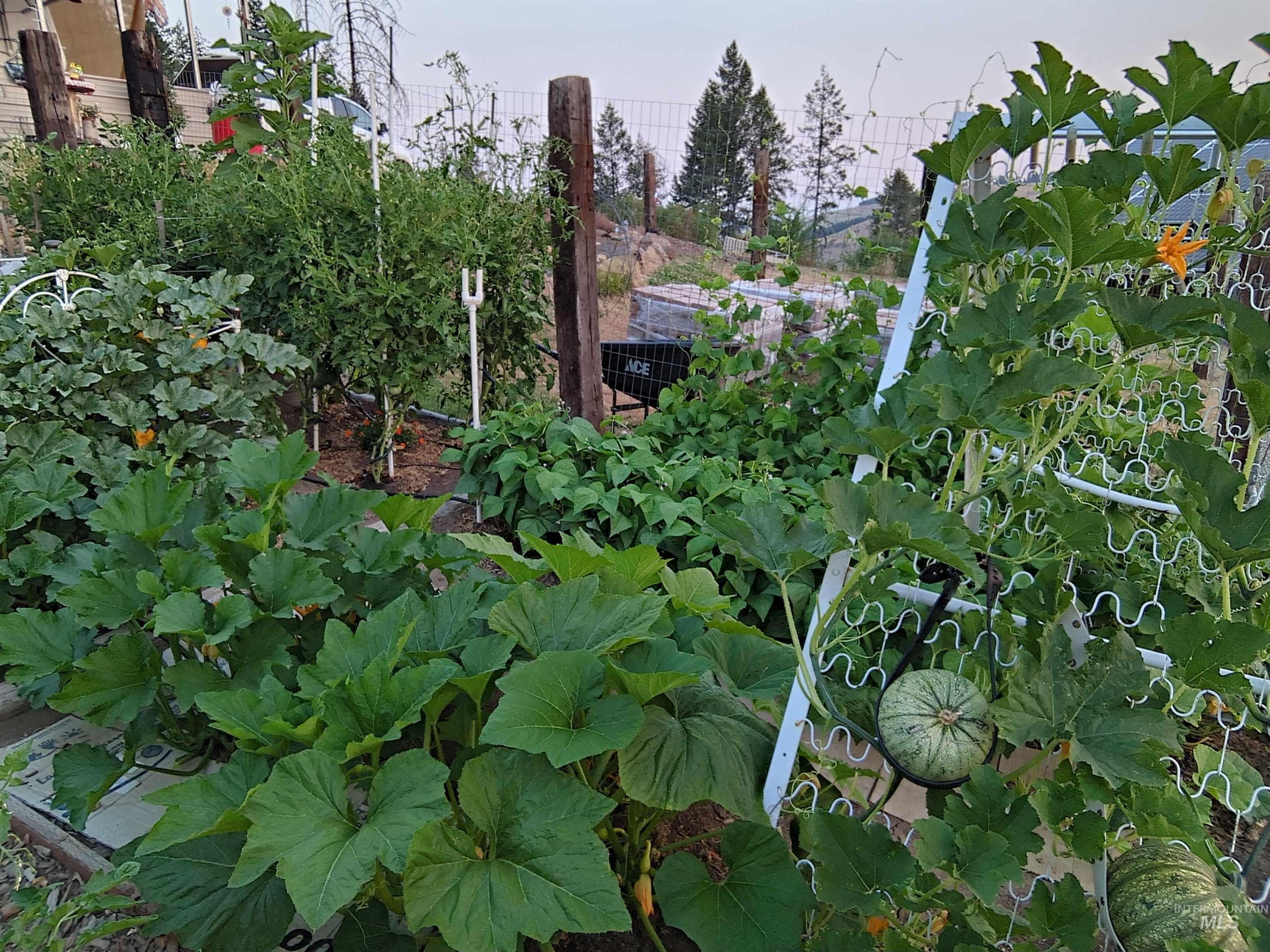 Fenced garden area with raised beds provides an abundance of produce!