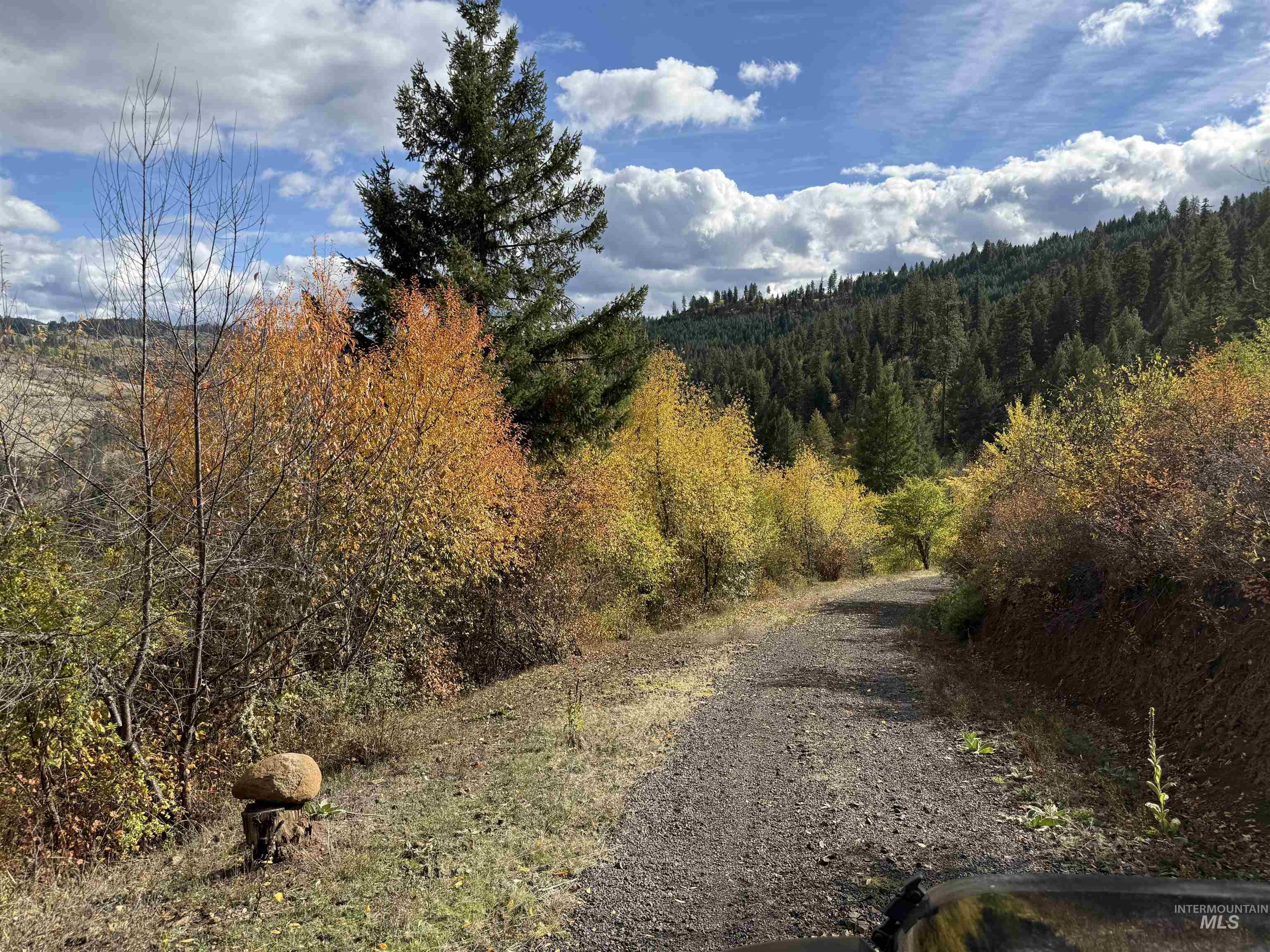 289 Freedom Way, Kooskia, Idaho 83539, Land For Sale, Price $299,000, 98965486