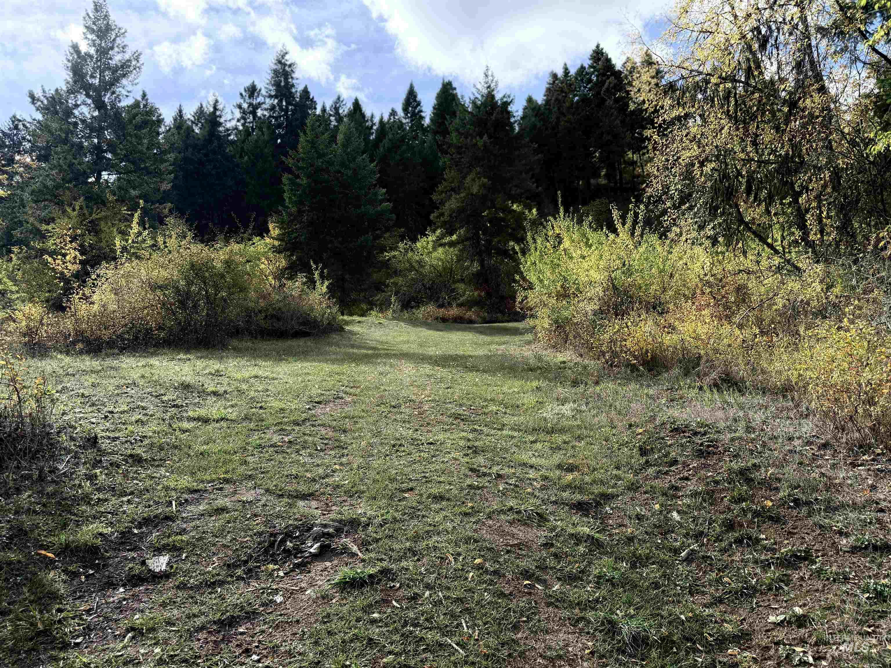 Trail to upper pad of property