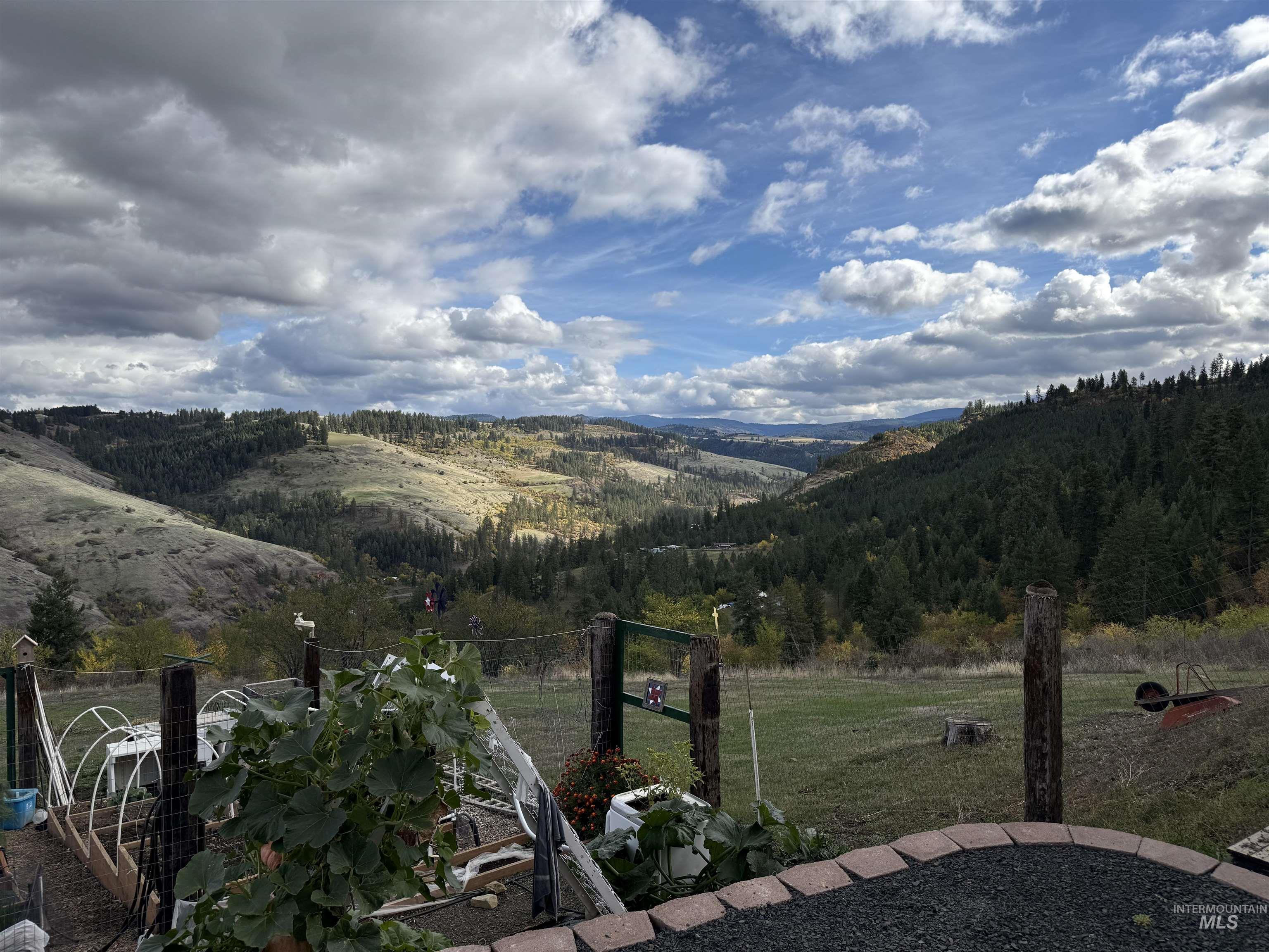 View of mountain background featuring a heavily wooded area out front of the property.