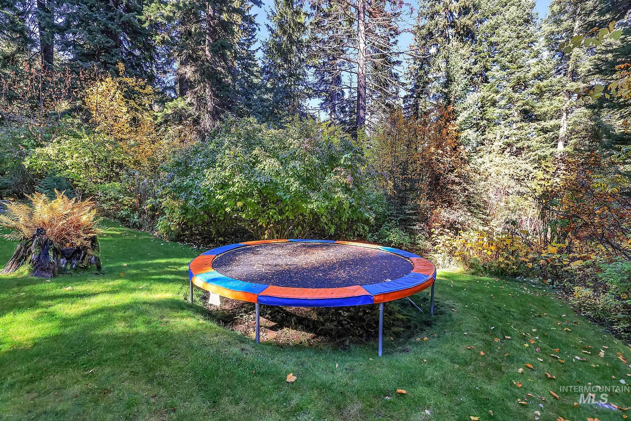 View of green lawn featuring a trampoline