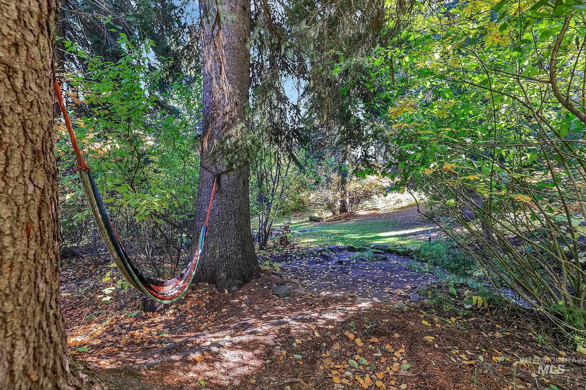 View of undeveloped land