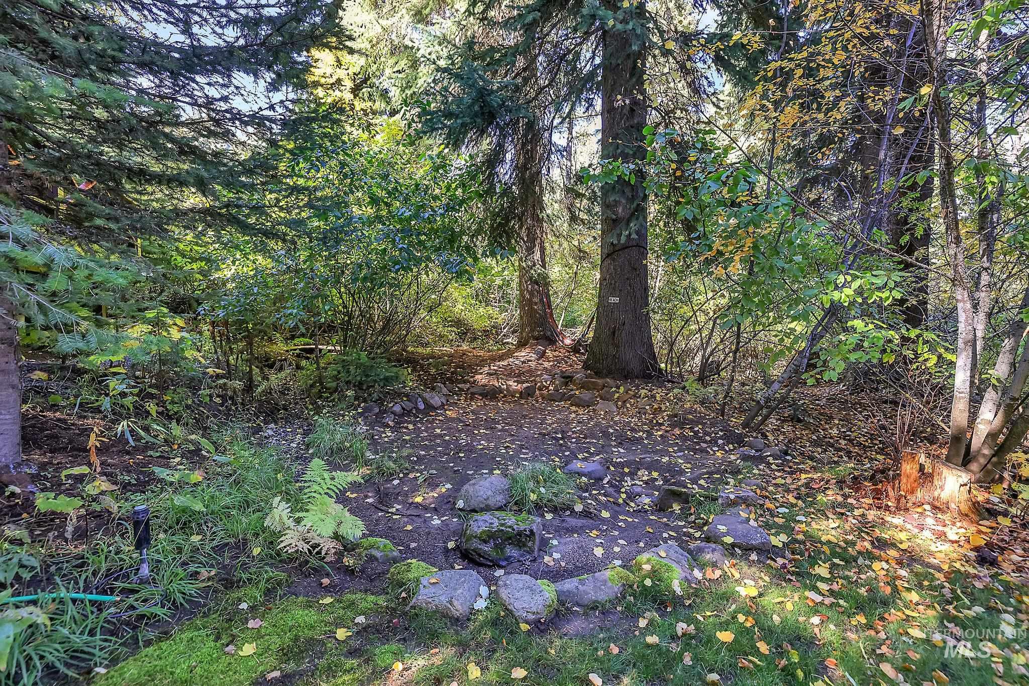 View of tree filled area