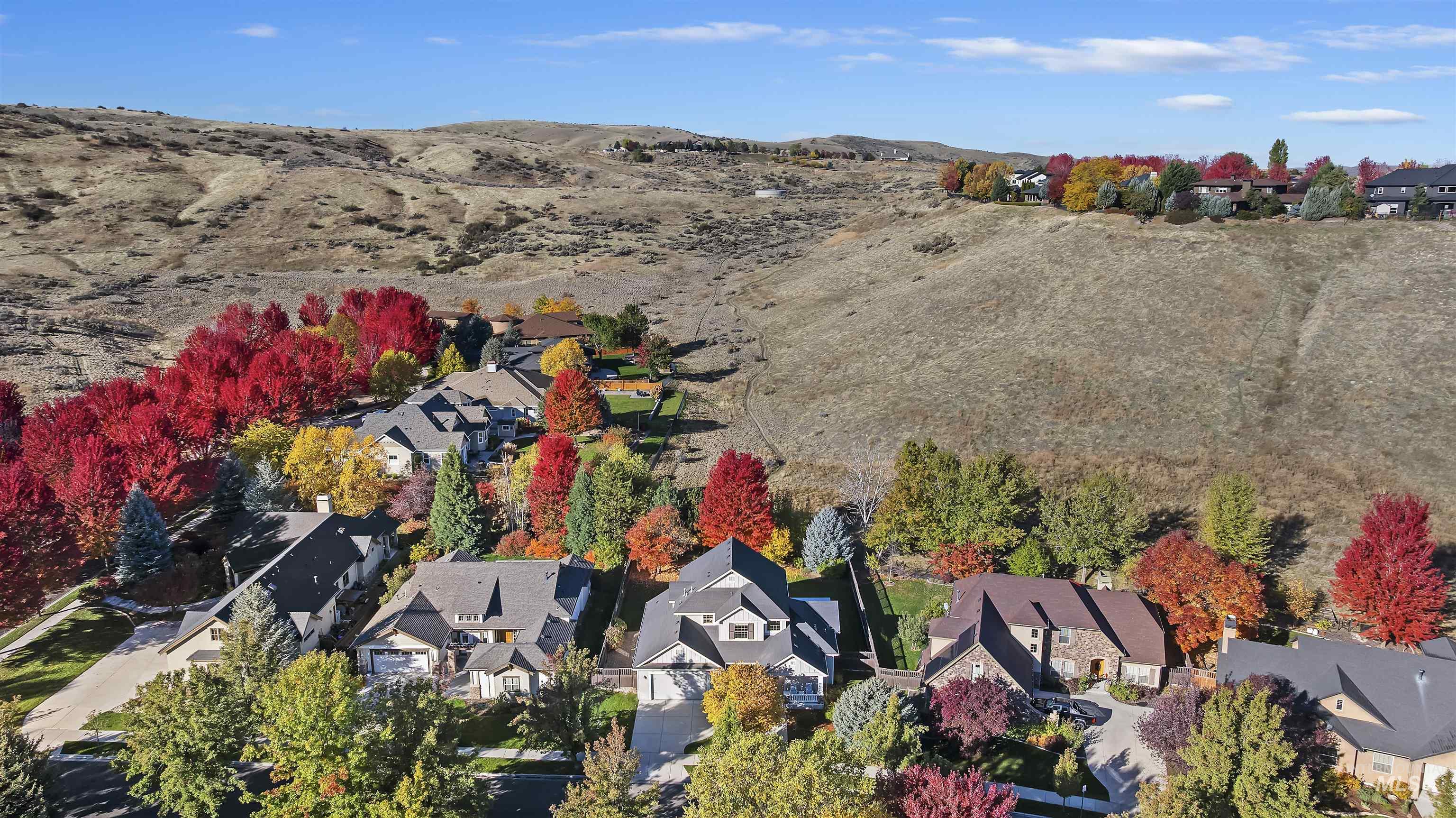 Aerial view of residential area