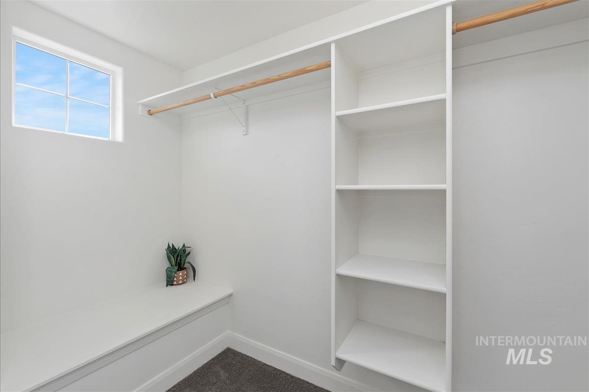 Walk in closet featuring carpet
