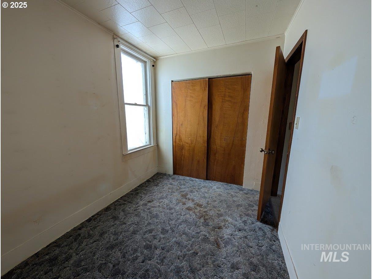 Unfurnished bedroom featuring dark carpet, a closet, and crown molding