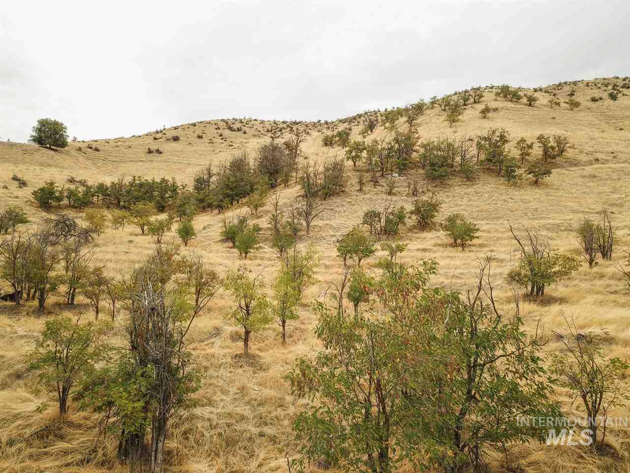 5432 W Hill Road, Boise, Idaho 83703, Land For Sale, Price $2,499,000, 98965584
