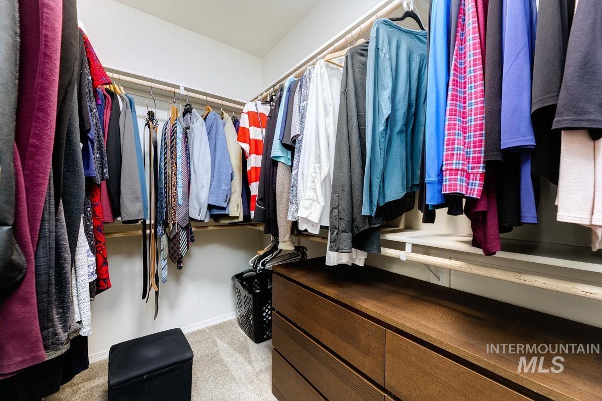 Spacious closet featuring light carpet
