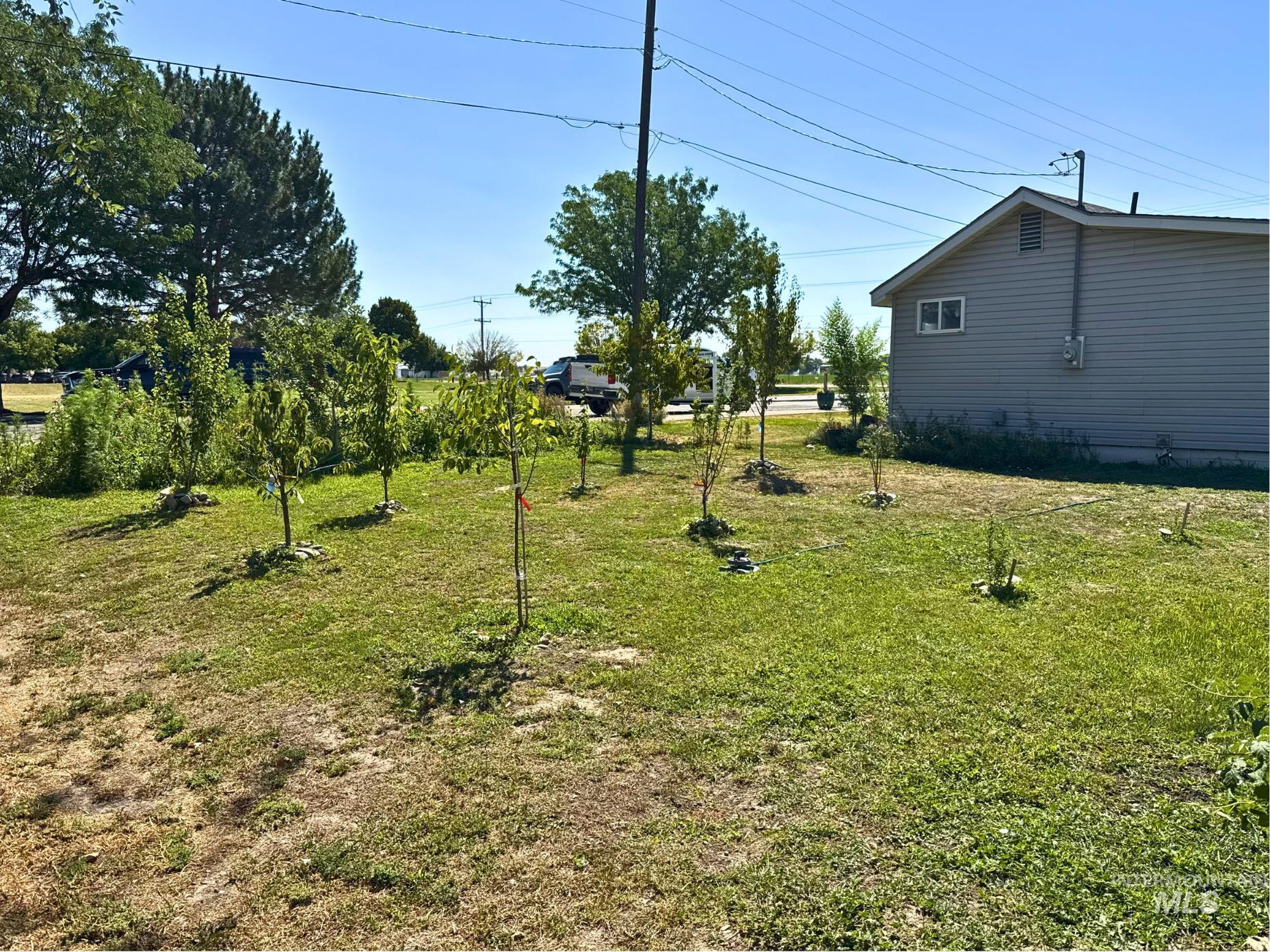 View of grassy yard