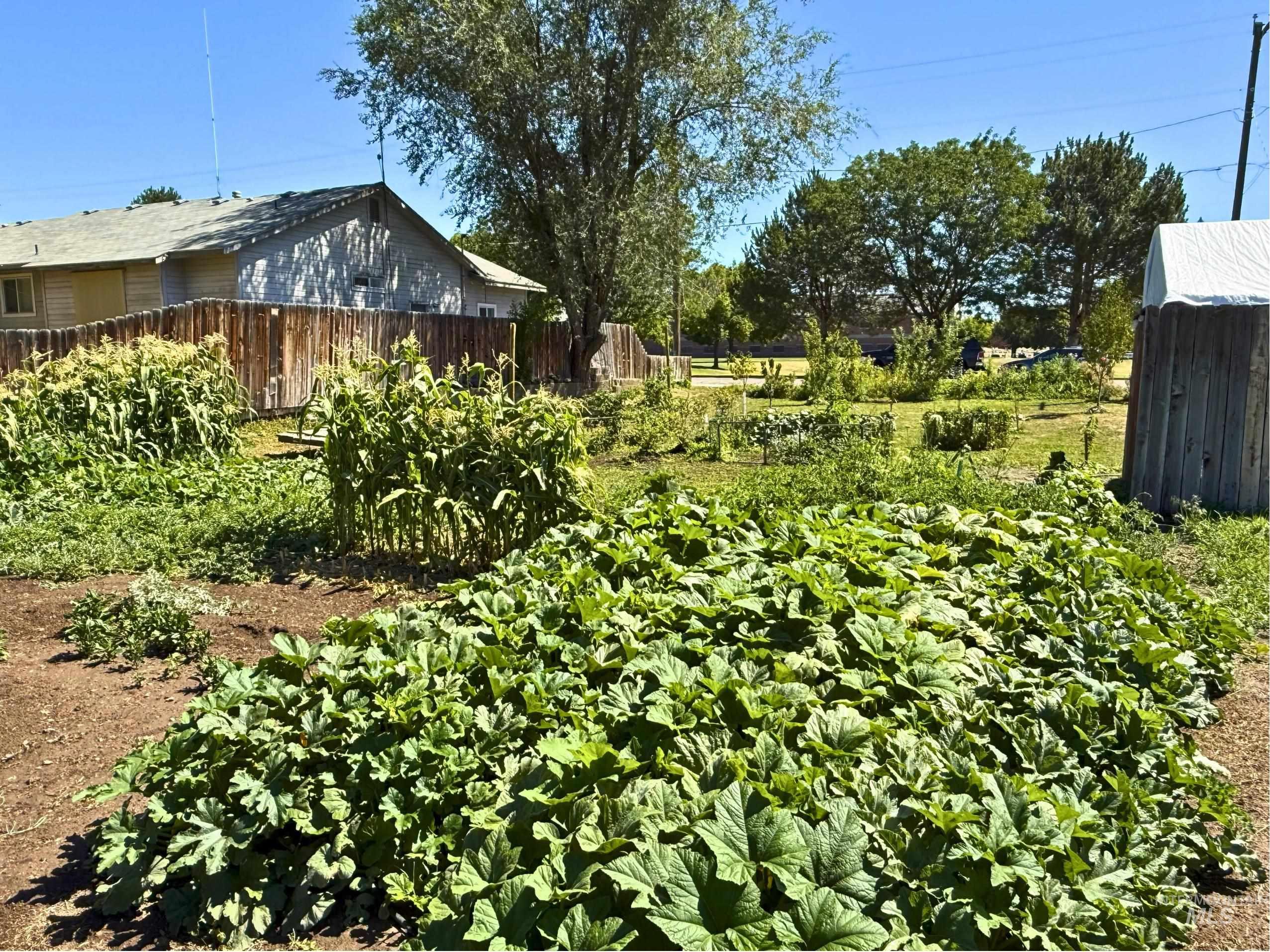View of yard with a garden