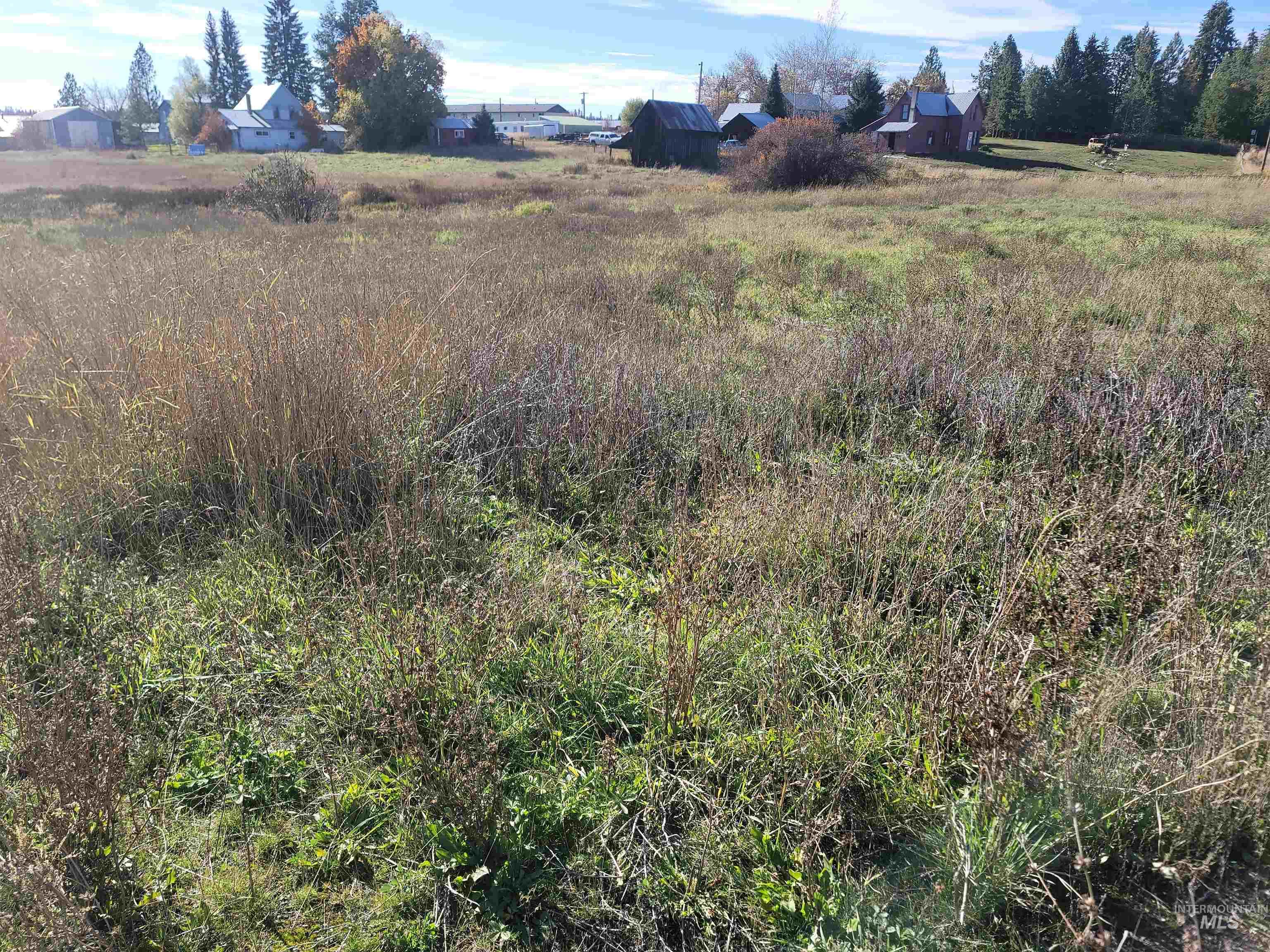208 W Pierce Avenue, Weippe, Idaho 83553, Business/Commercial For Sale, Price $300,000, 98965603