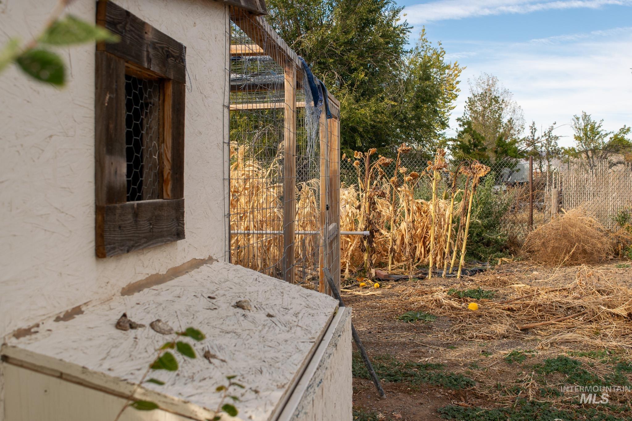 Chicken Coop/Run and Garden area