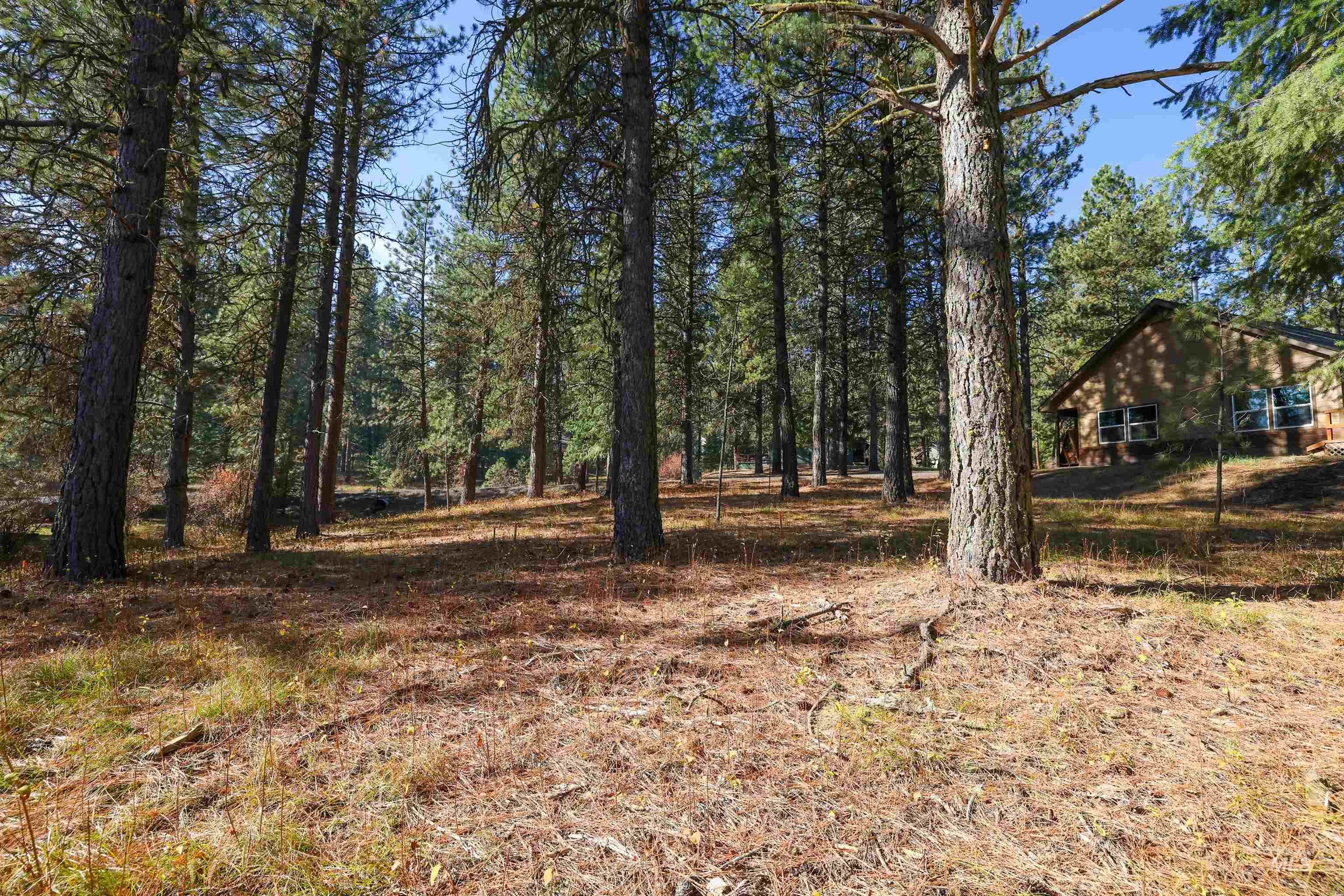 View of yard featuring a wooded view