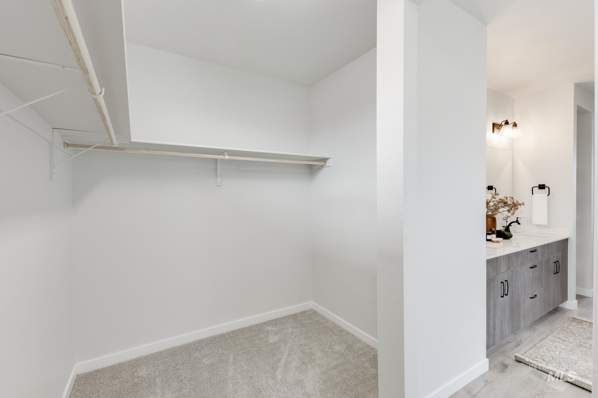 Spacious closet featuring light carpet and a sink