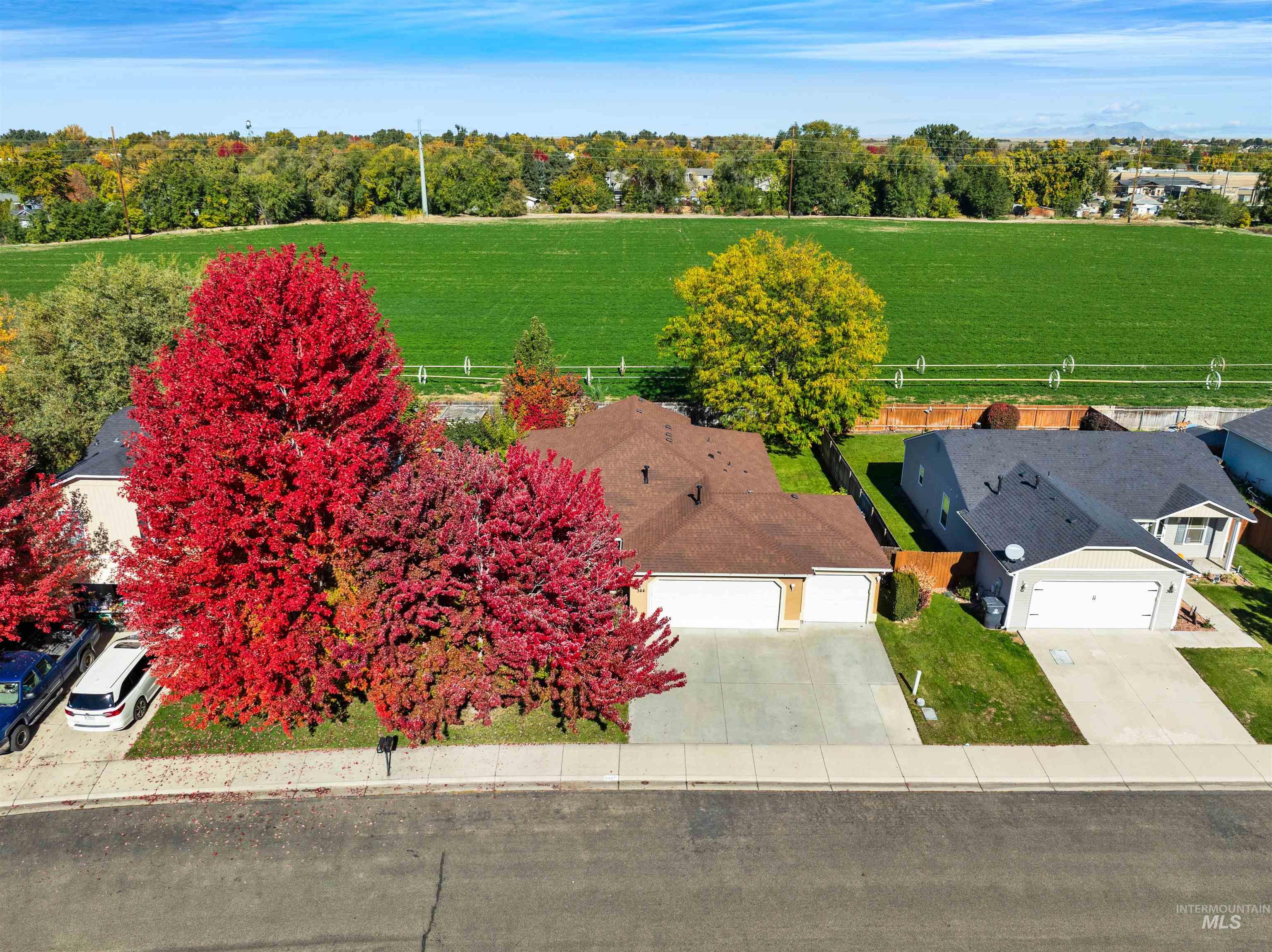 Overview of rural landscape featuring a tree filled landscape