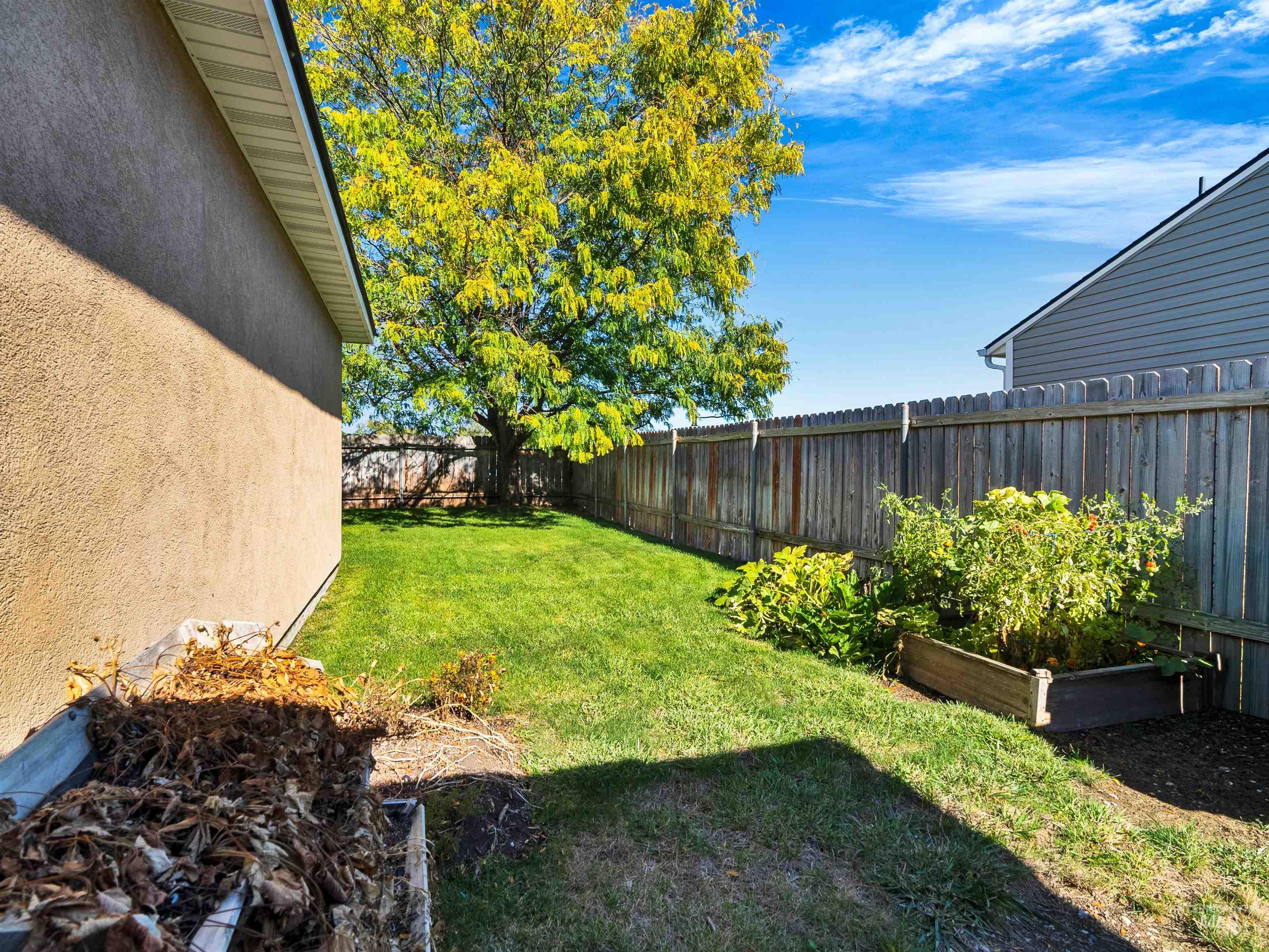 Fenced backyard with a vegetable garden