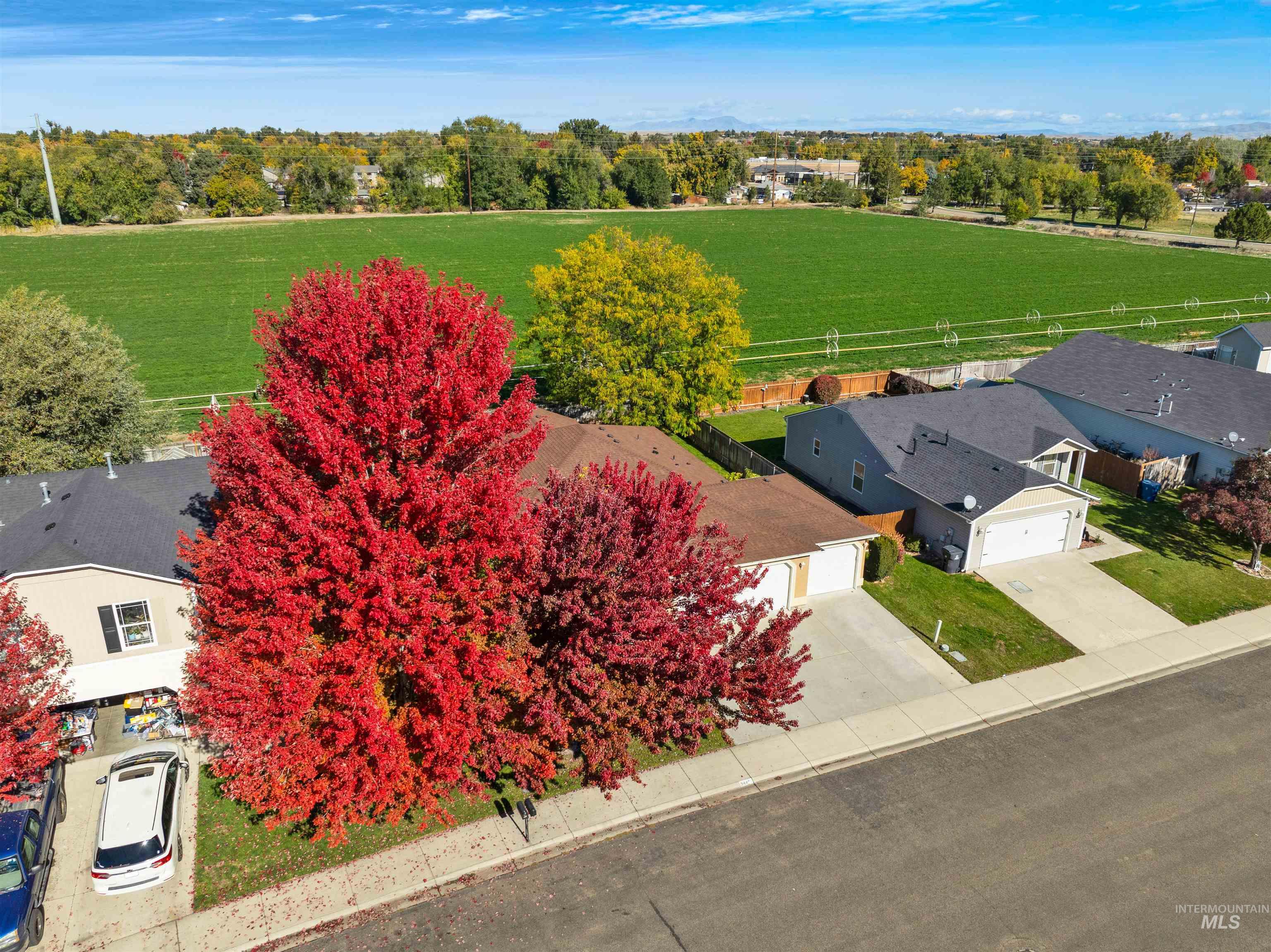 Bird's eye view of a tree filled landscape