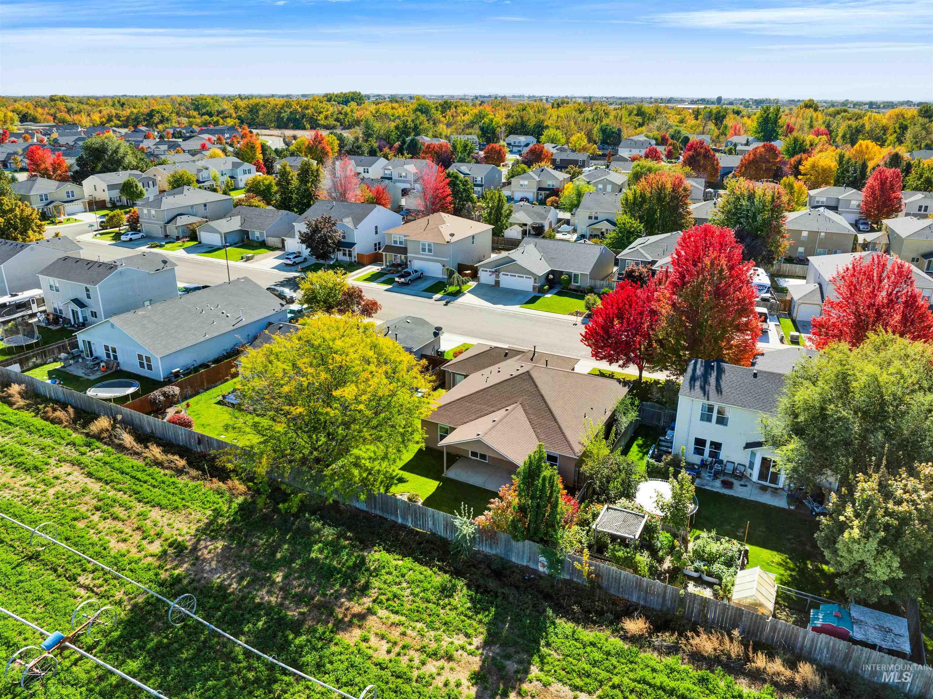 Aerial view of residential area