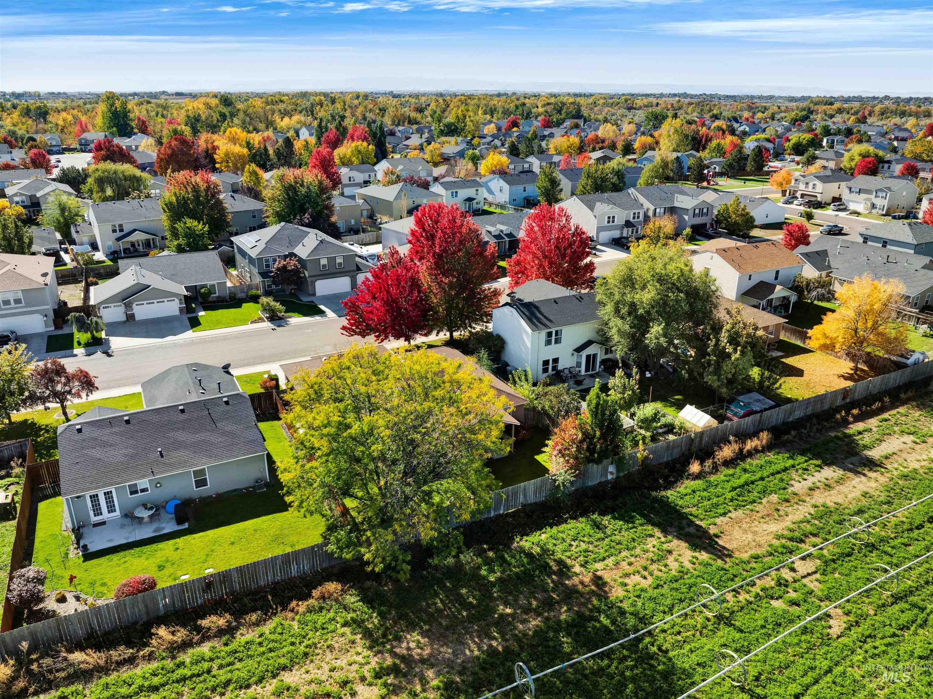 Aerial view of residential area