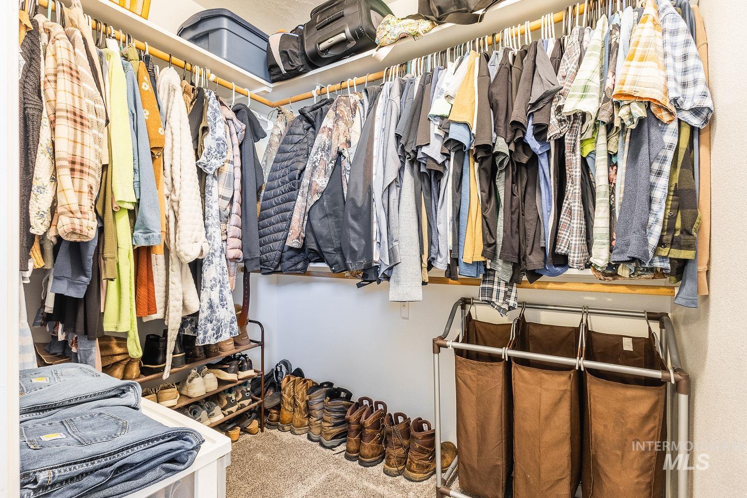 Walk in closet with carpet flooring