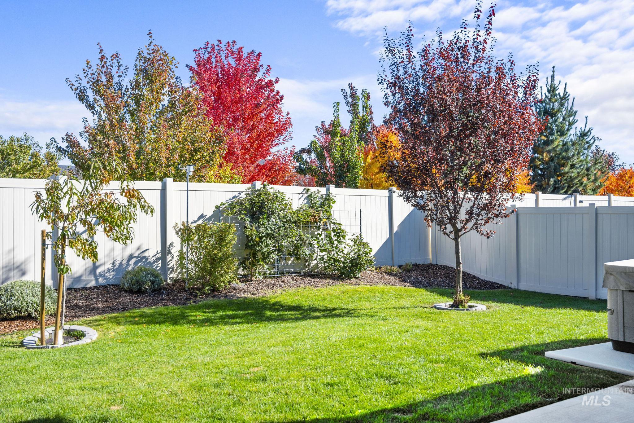 View of fenced backyard