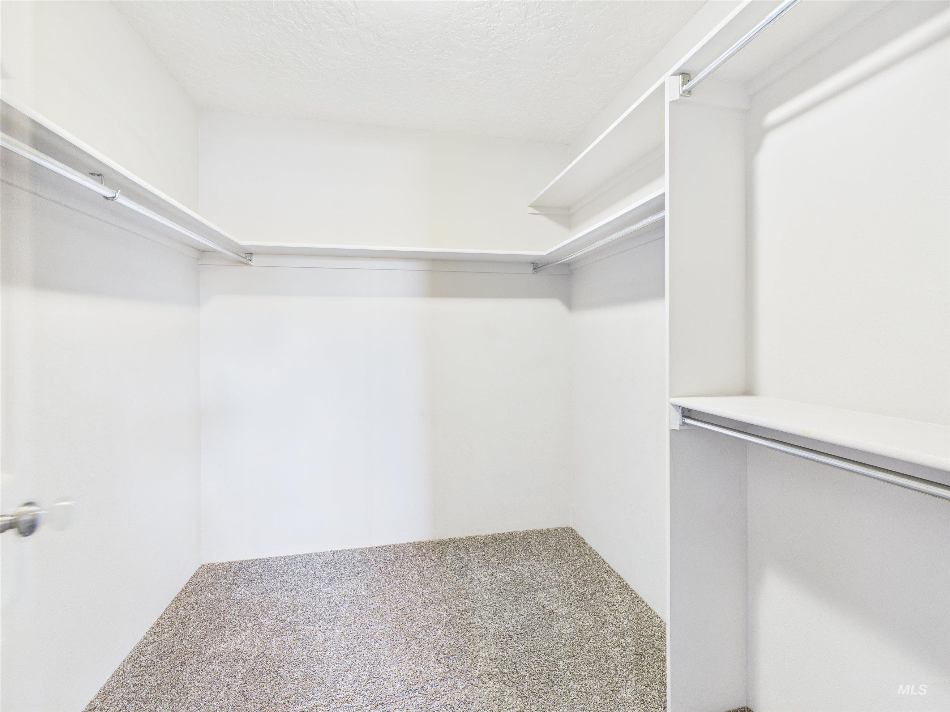 Spacious closet with carpet flooring