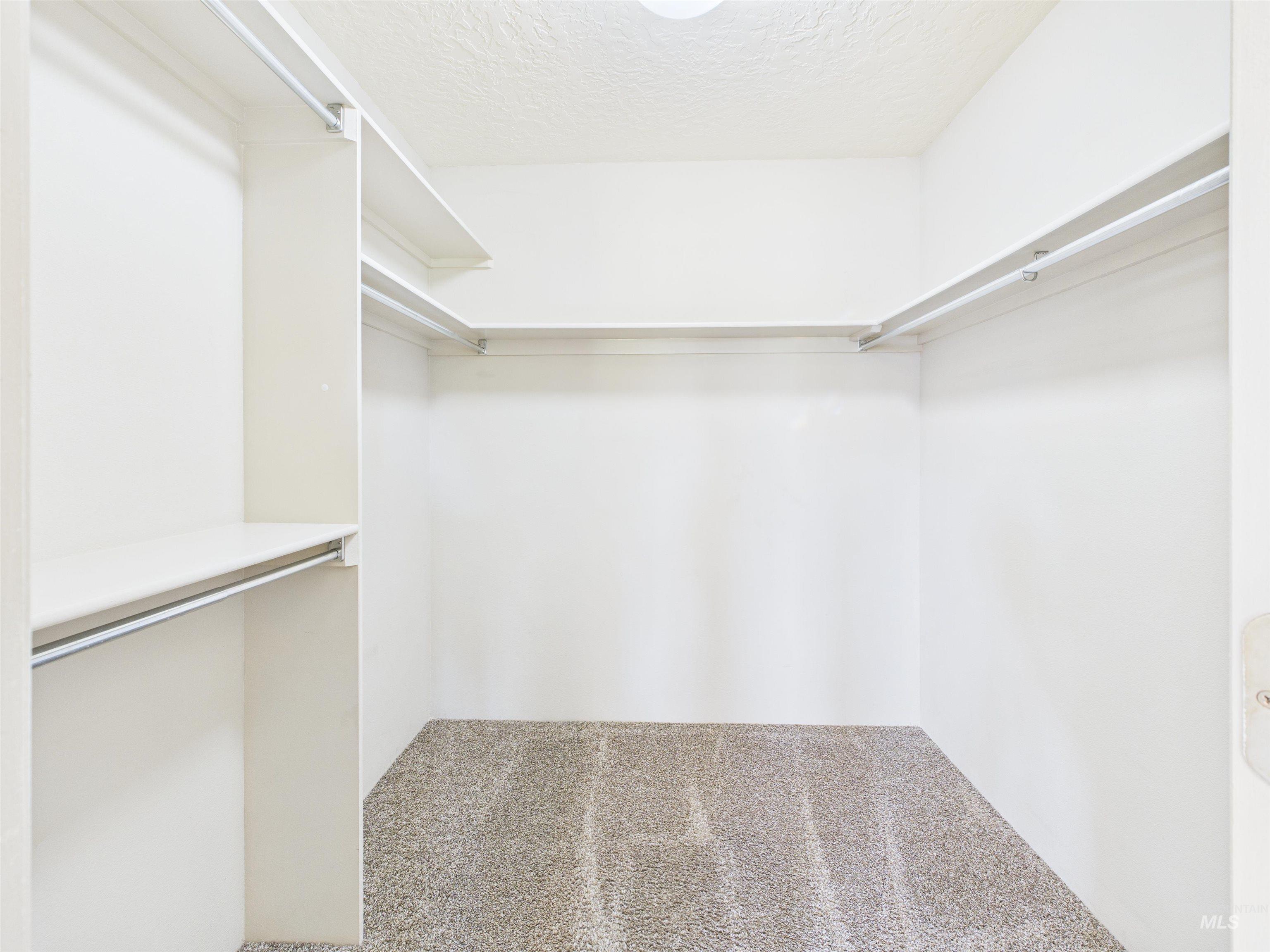 Walk in closet featuring carpet