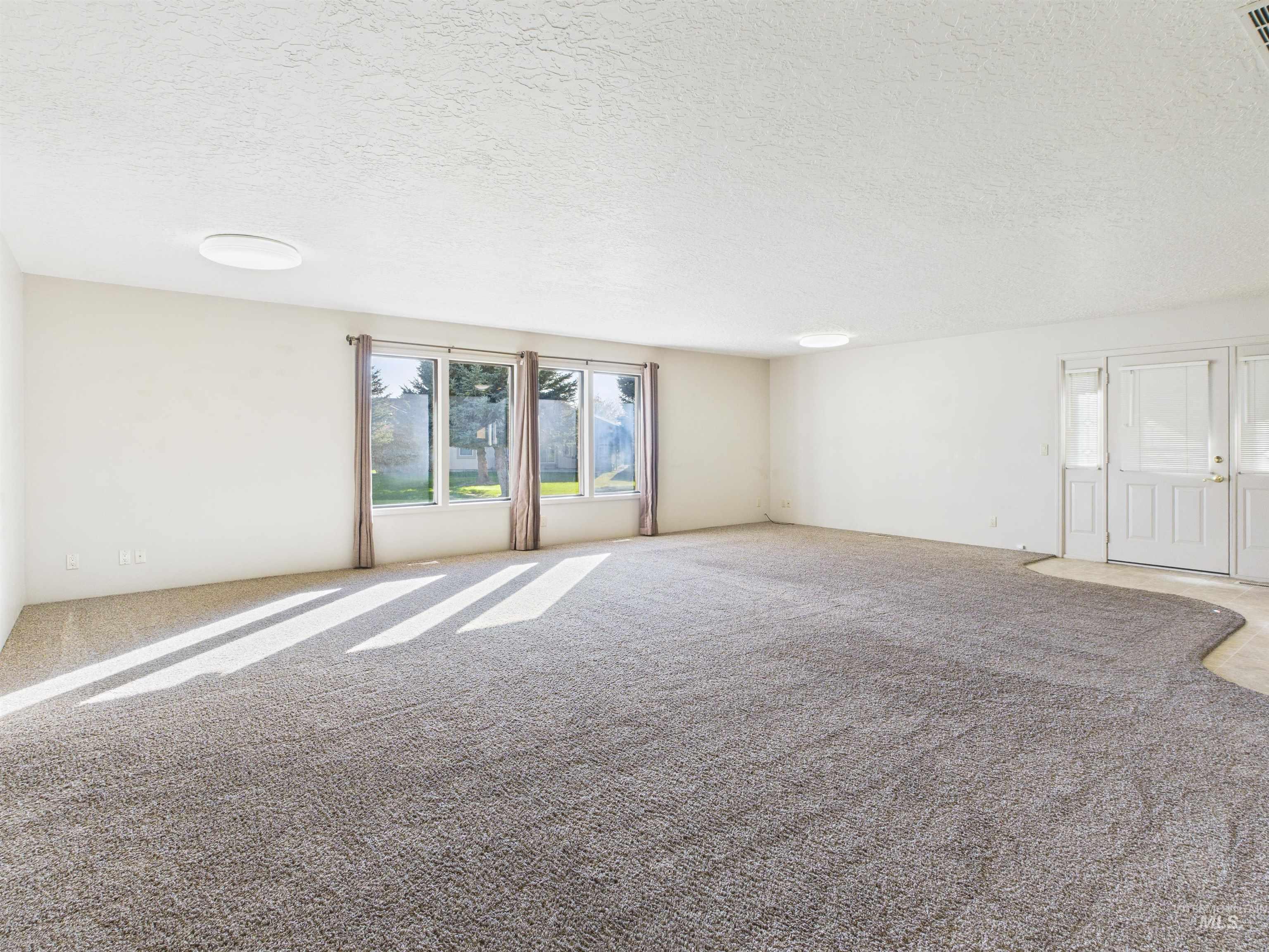 Carpeted spare room with healthy amount of natural light and a textured ceiling