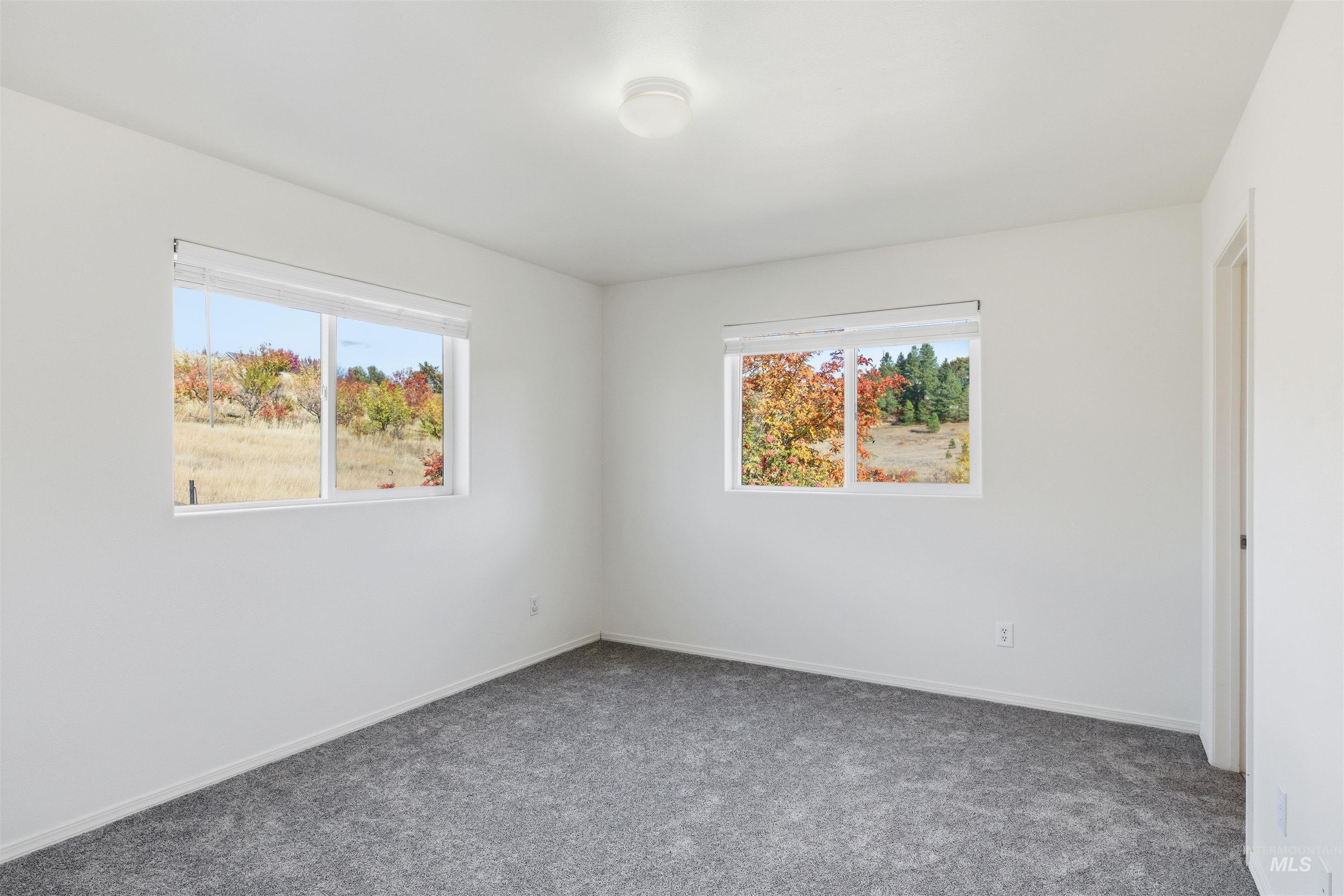 Empty room with healthy amount of natural light and carpet flooring