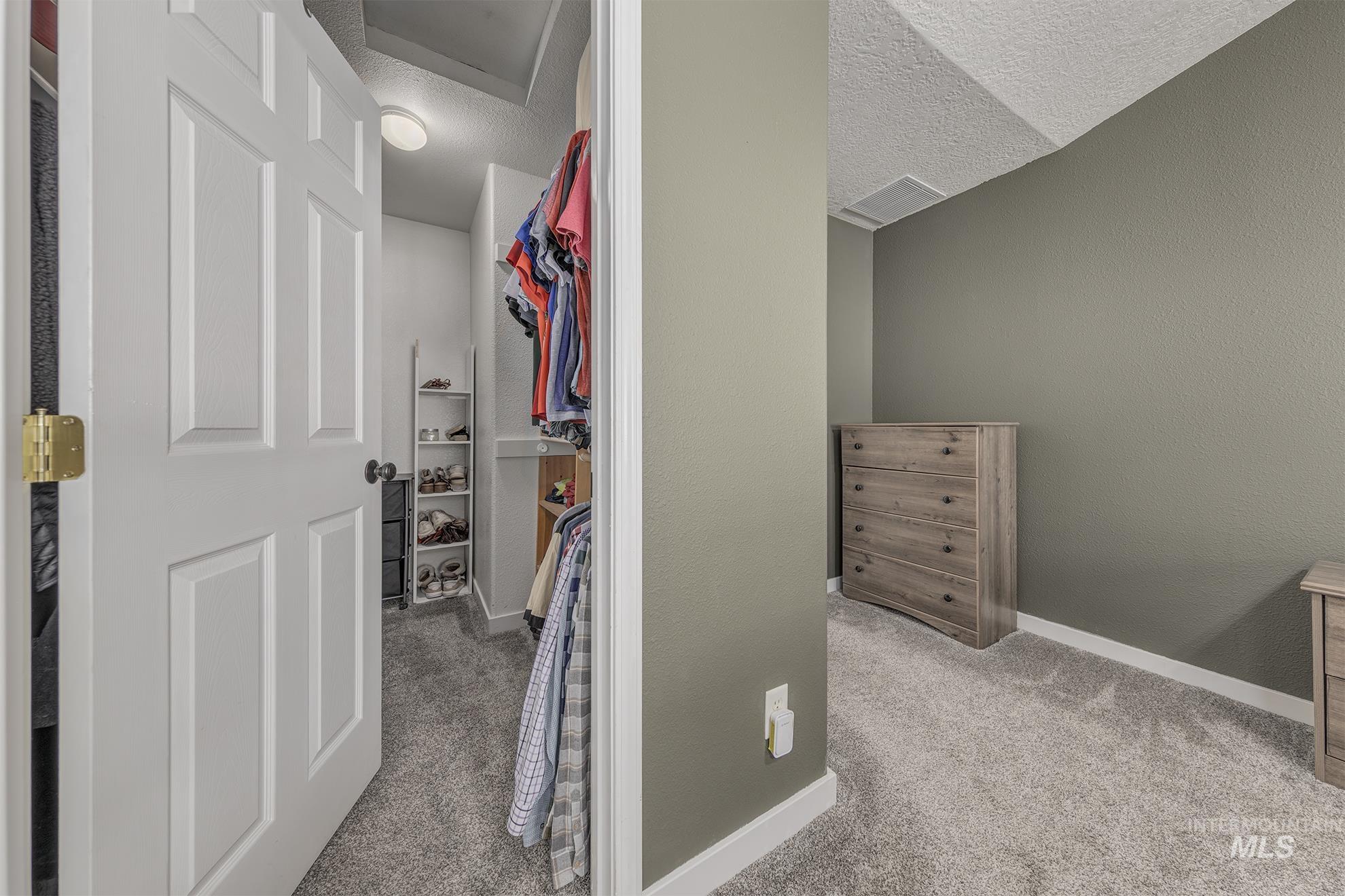 Spacious closet with light carpet