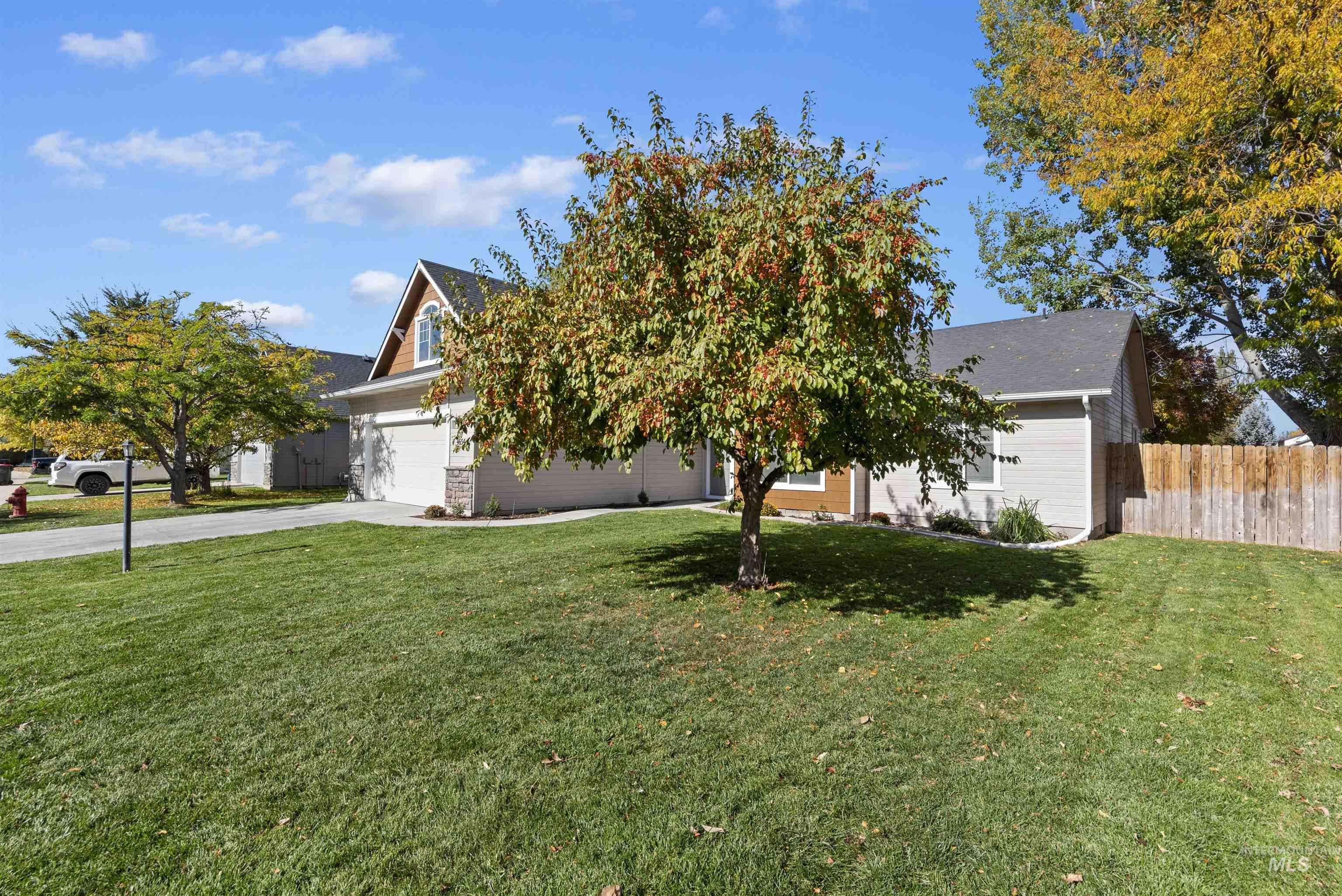 View of property hidden behind natural elements with concrete driveway and a garage