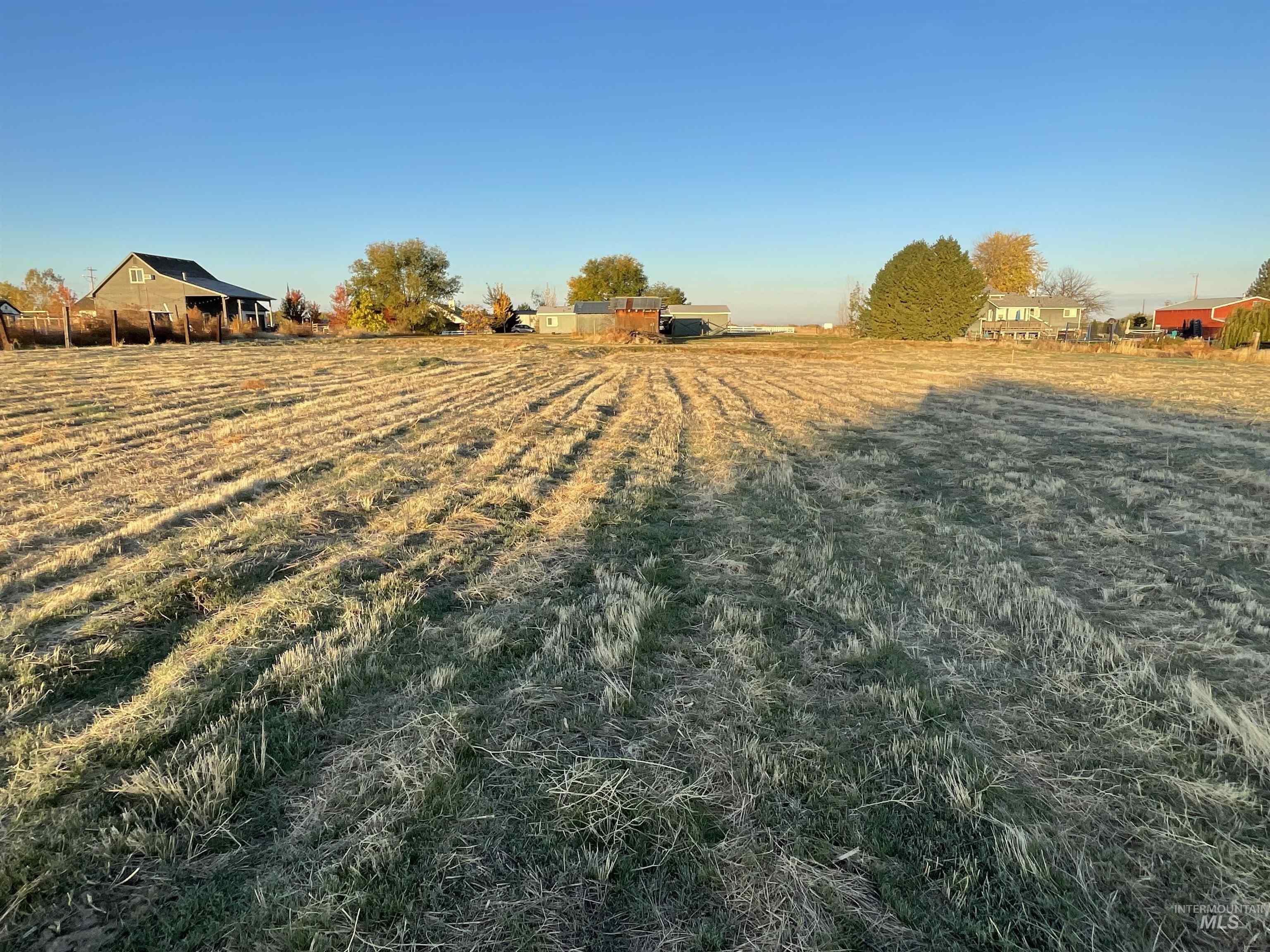 View of yard with a view of rural / pastoral area