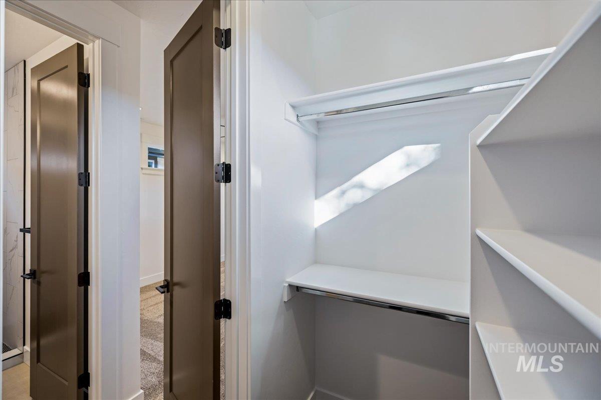 Spacious closet featuring carpet flooring