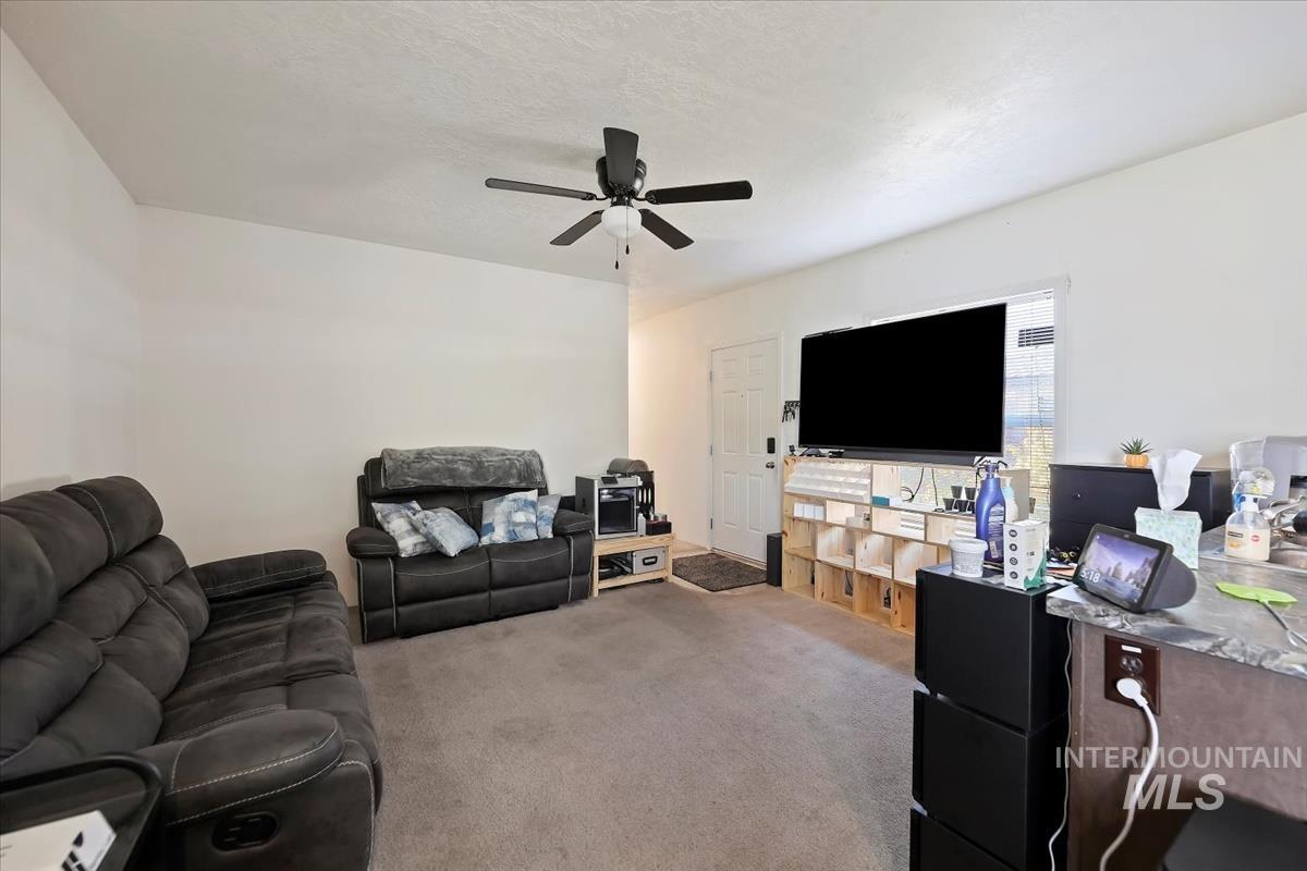 Carpeted living room with a ceiling fan and a textured ceiling