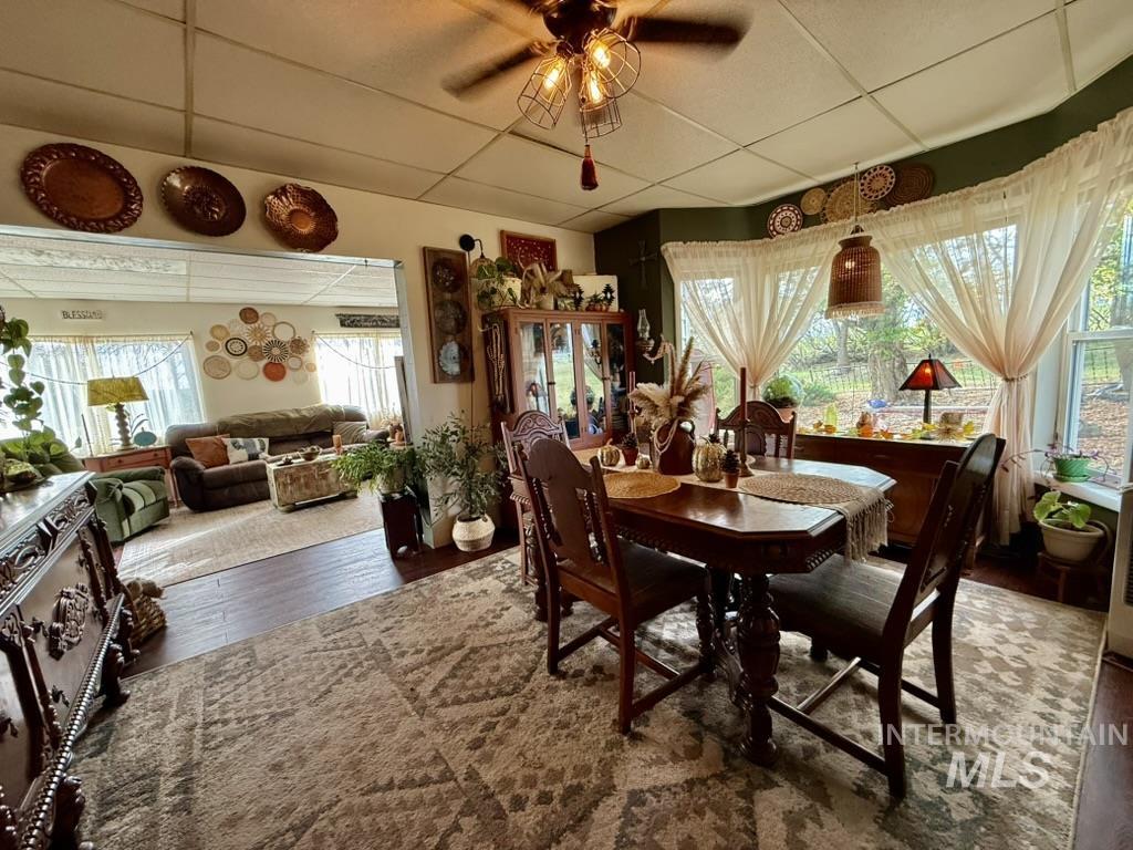 Dining space with a paneled ceiling, dark wood finished floors, and a ceiling fan