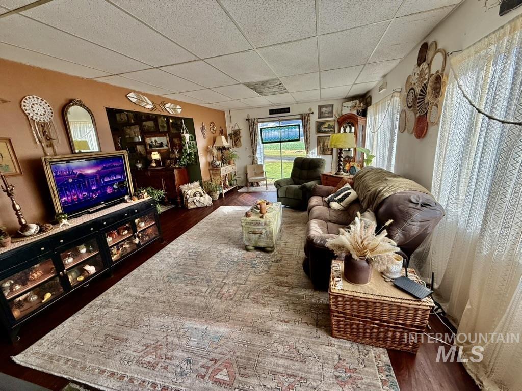 Living area featuring a paneled ceiling and dark wood-style flooring