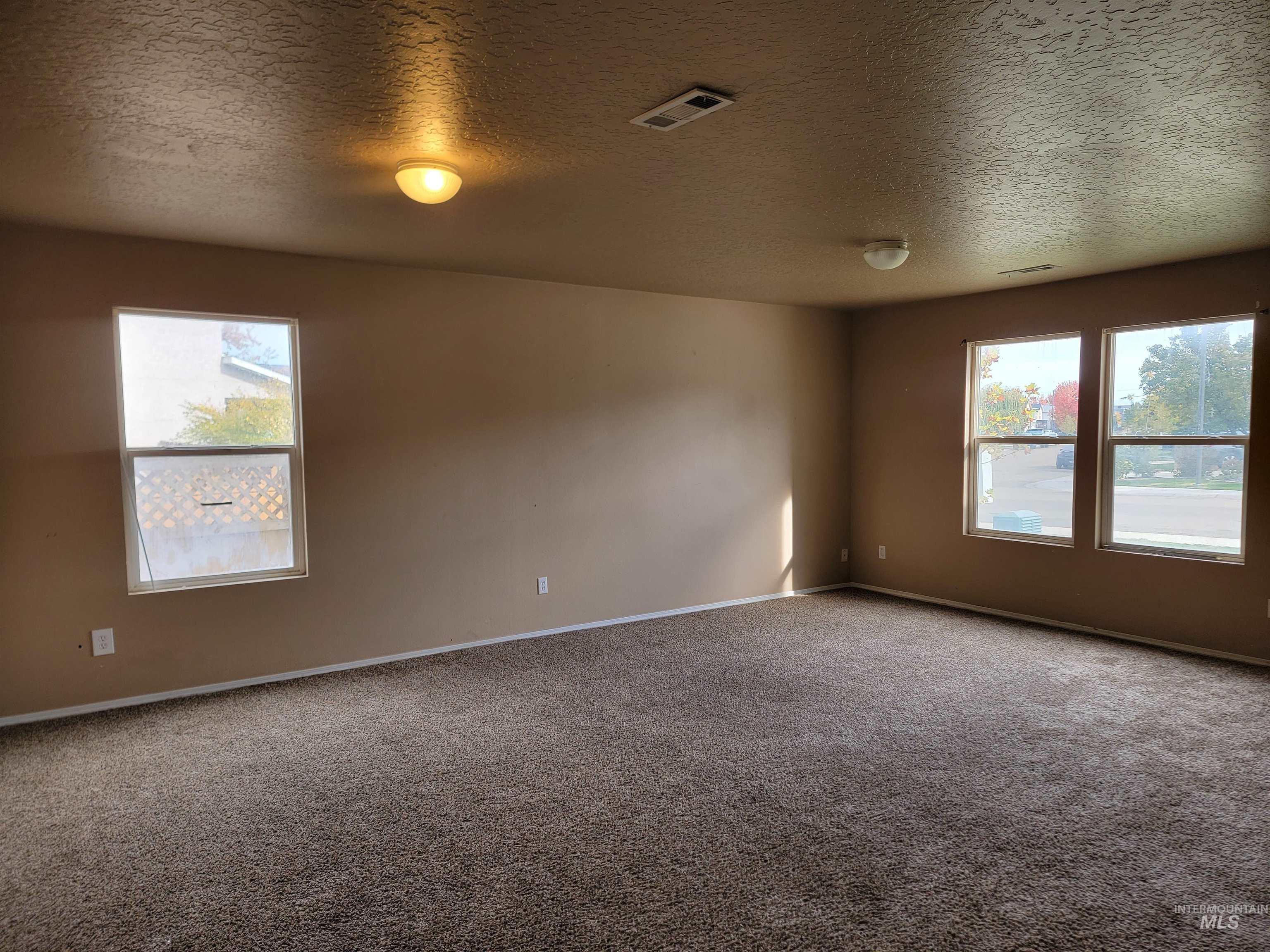 Spare room featuring plenty of natural light, carpet flooring, and a textured ceiling