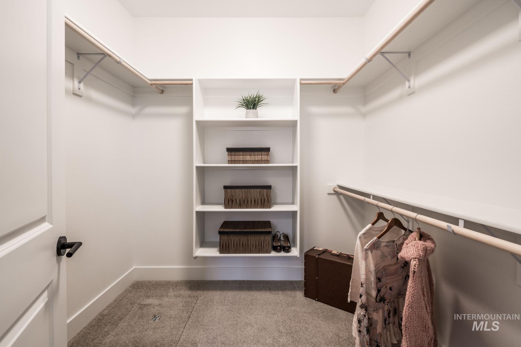 Walk in closet with carpet