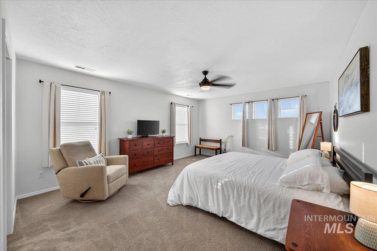 Carpeted bedroom with multiple windows, a ceiling fan, and a textured ceiling