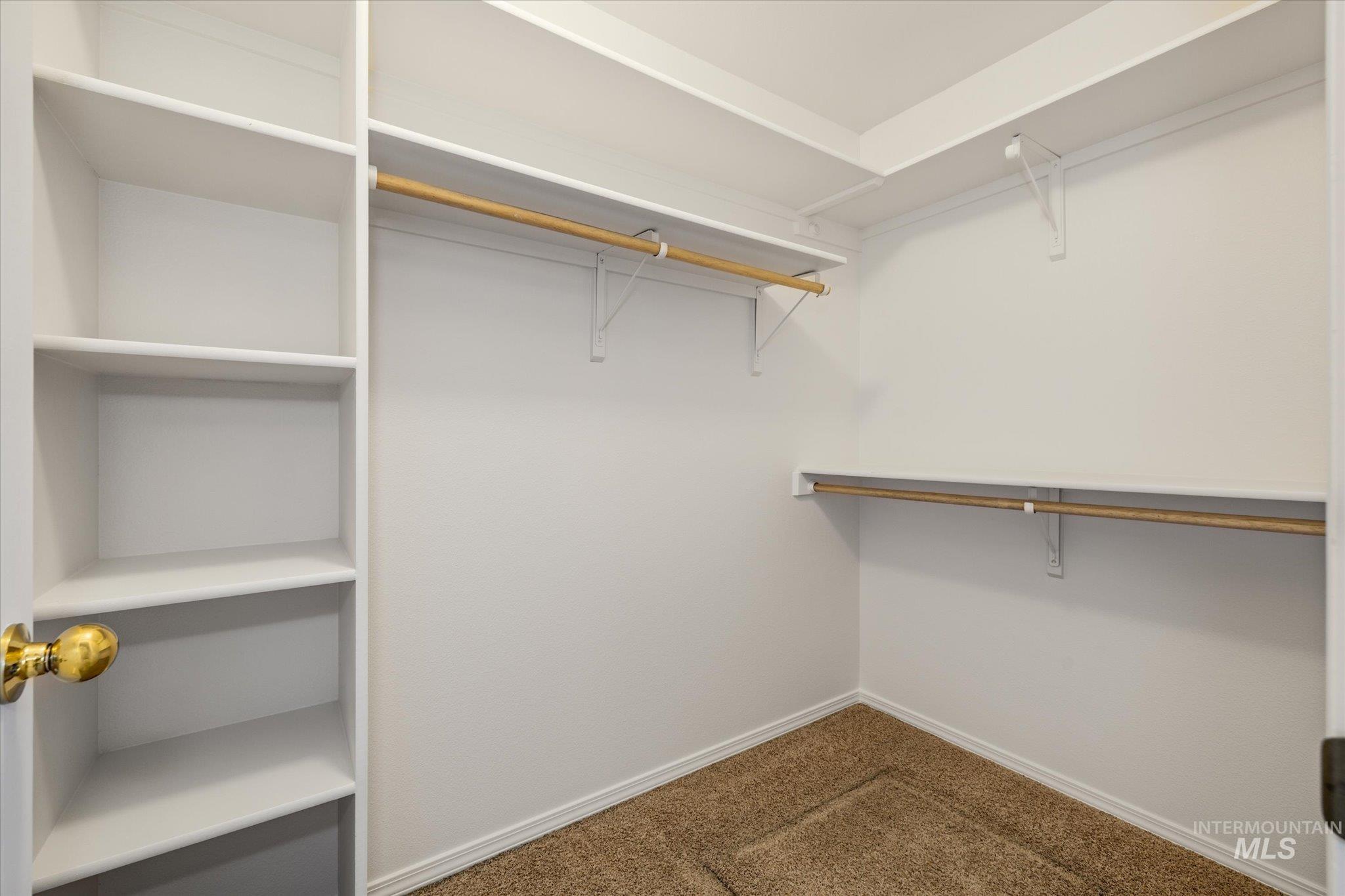Spacious closet with carpet