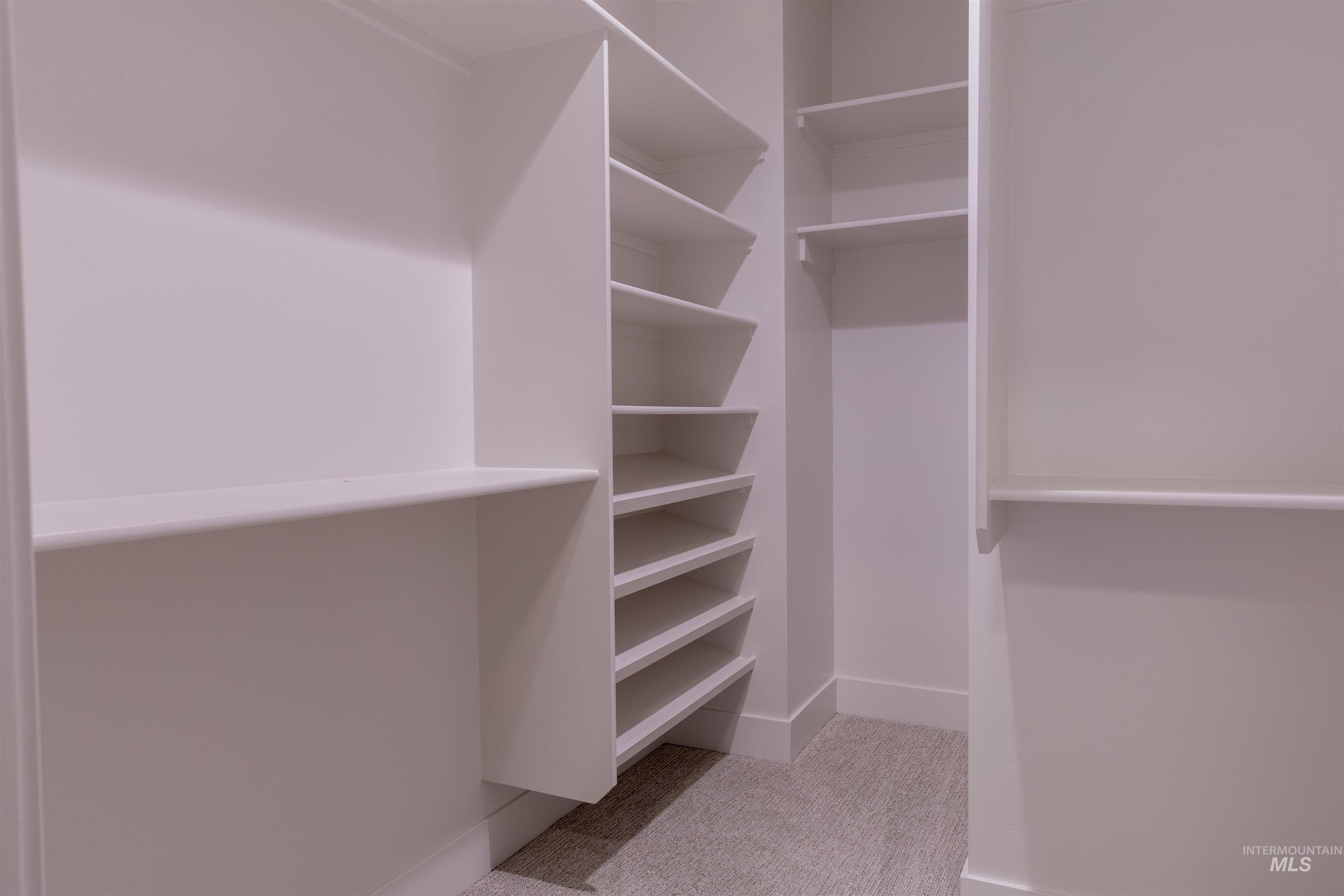 Spacious closet featuring light colored carpet